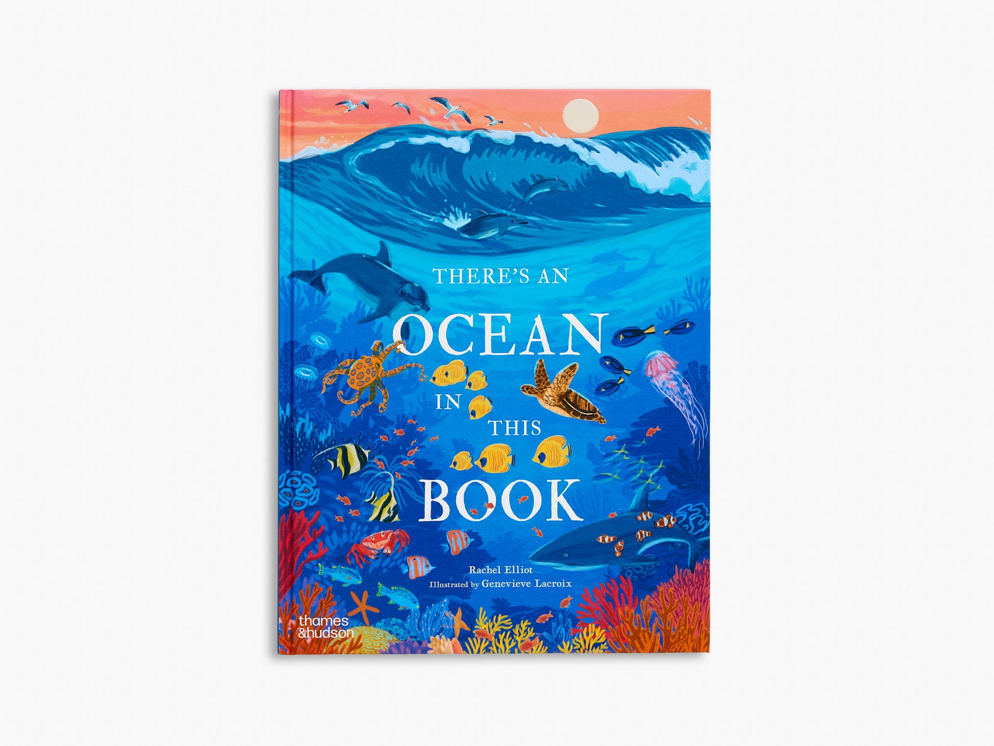 Cover of the book 'There's an Ocean in This Book' featuring illustrations of oceanic environments and creatures with a title and author's name.