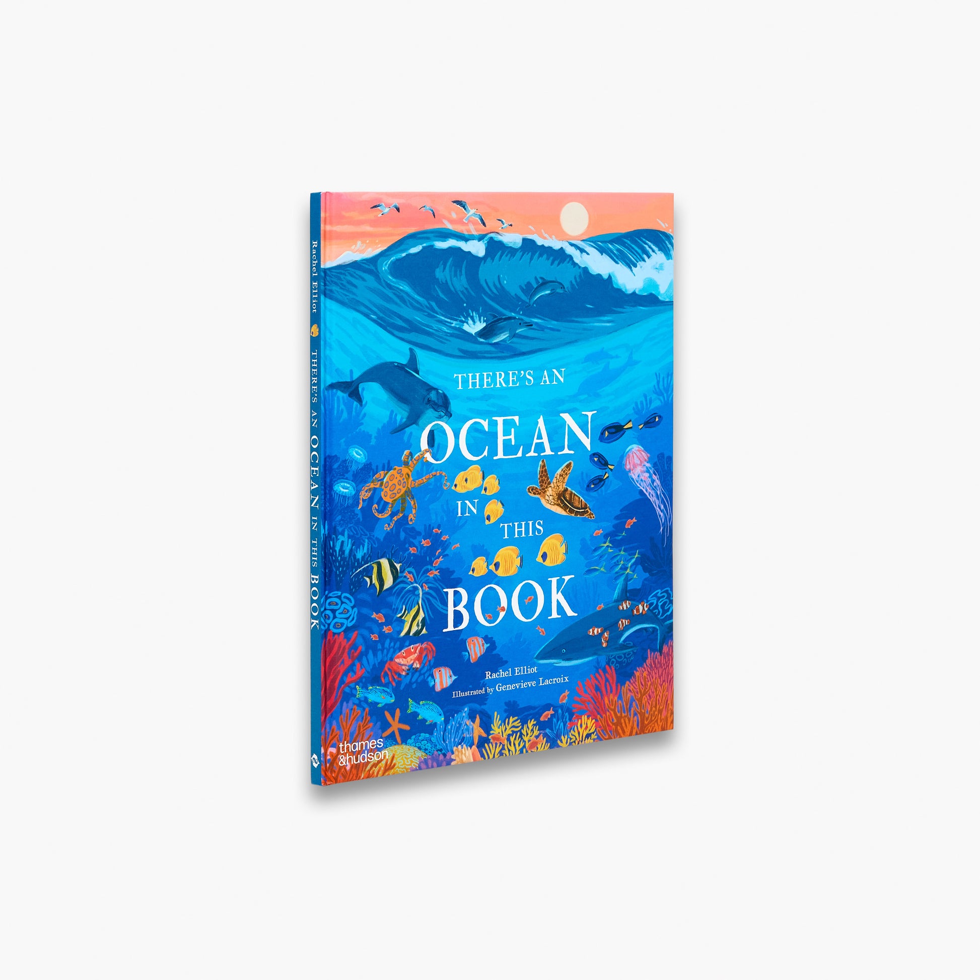 Book cover with ocean-themed illustrations and bold colors on a white background