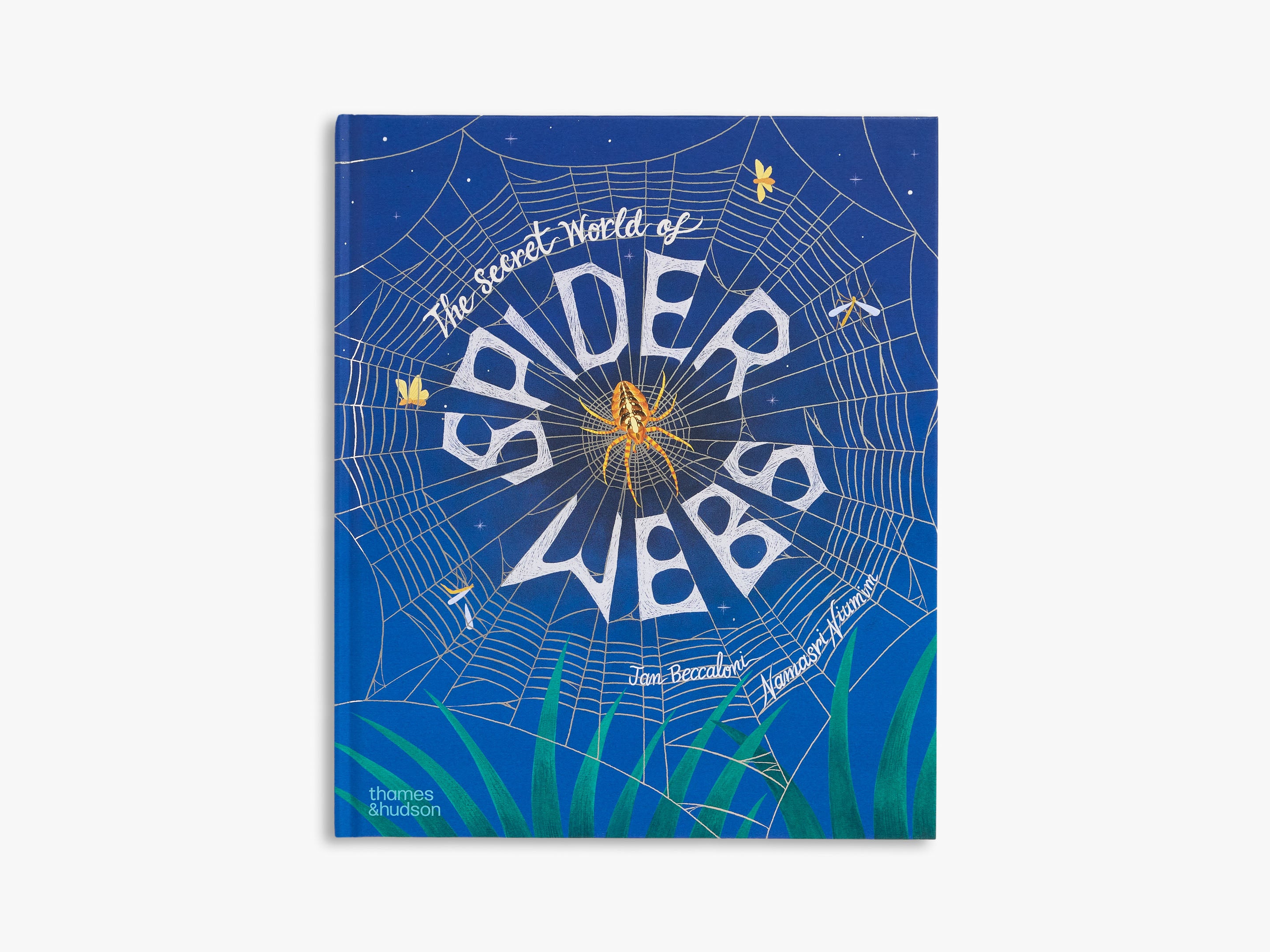 The Secret World of Spider Webs (Secret World)