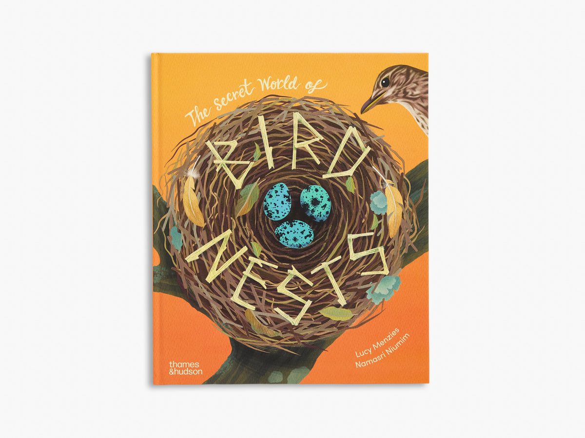 The Secret World of Bird Nests (Secret World)