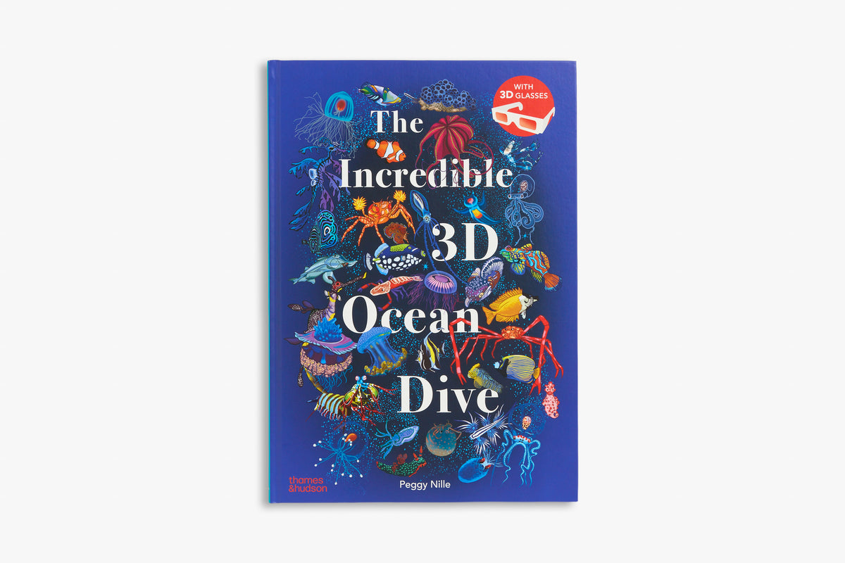 The Incredible 3D Ocean Dive