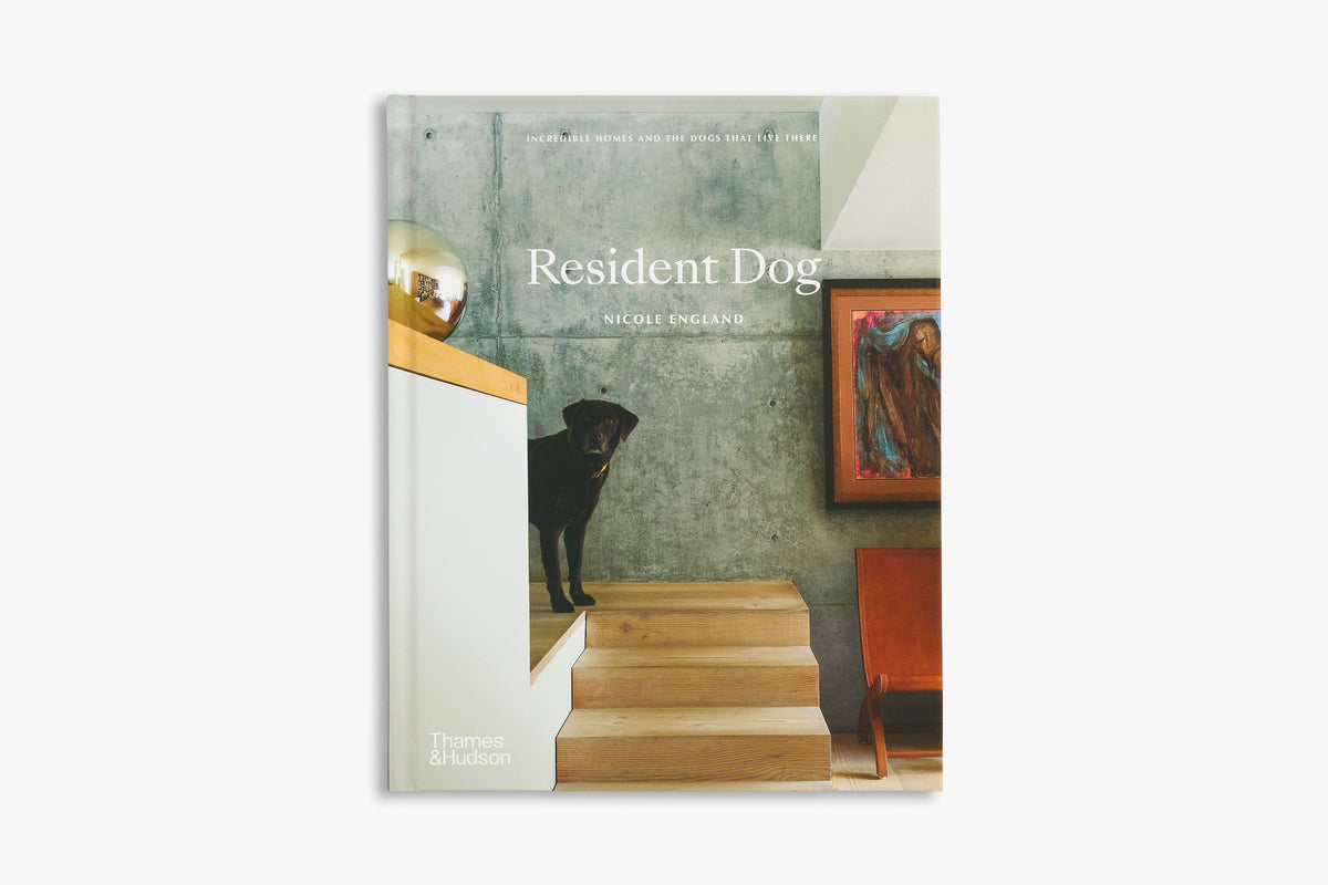 Resident Dog