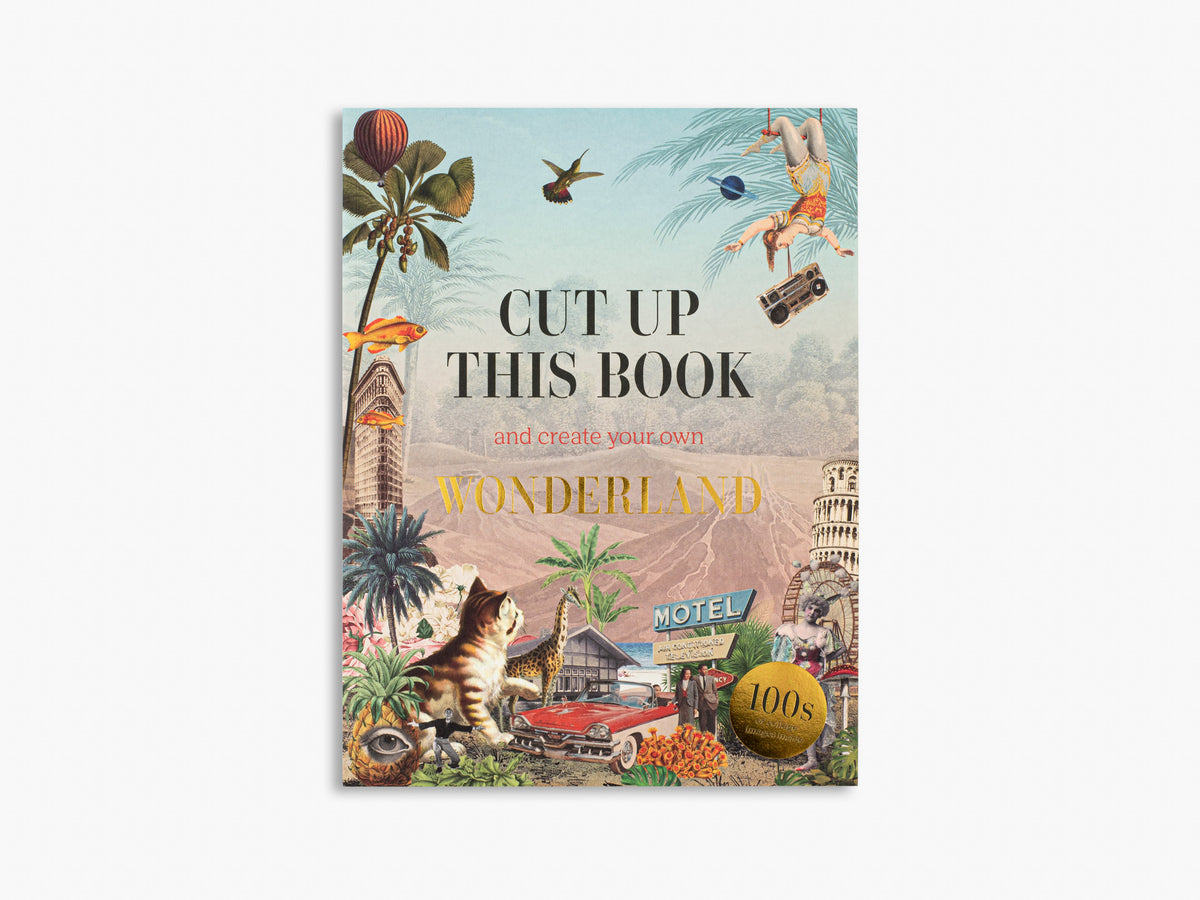 Cut Up This Book and Create Your Own Wonderland (Cut up this Book)