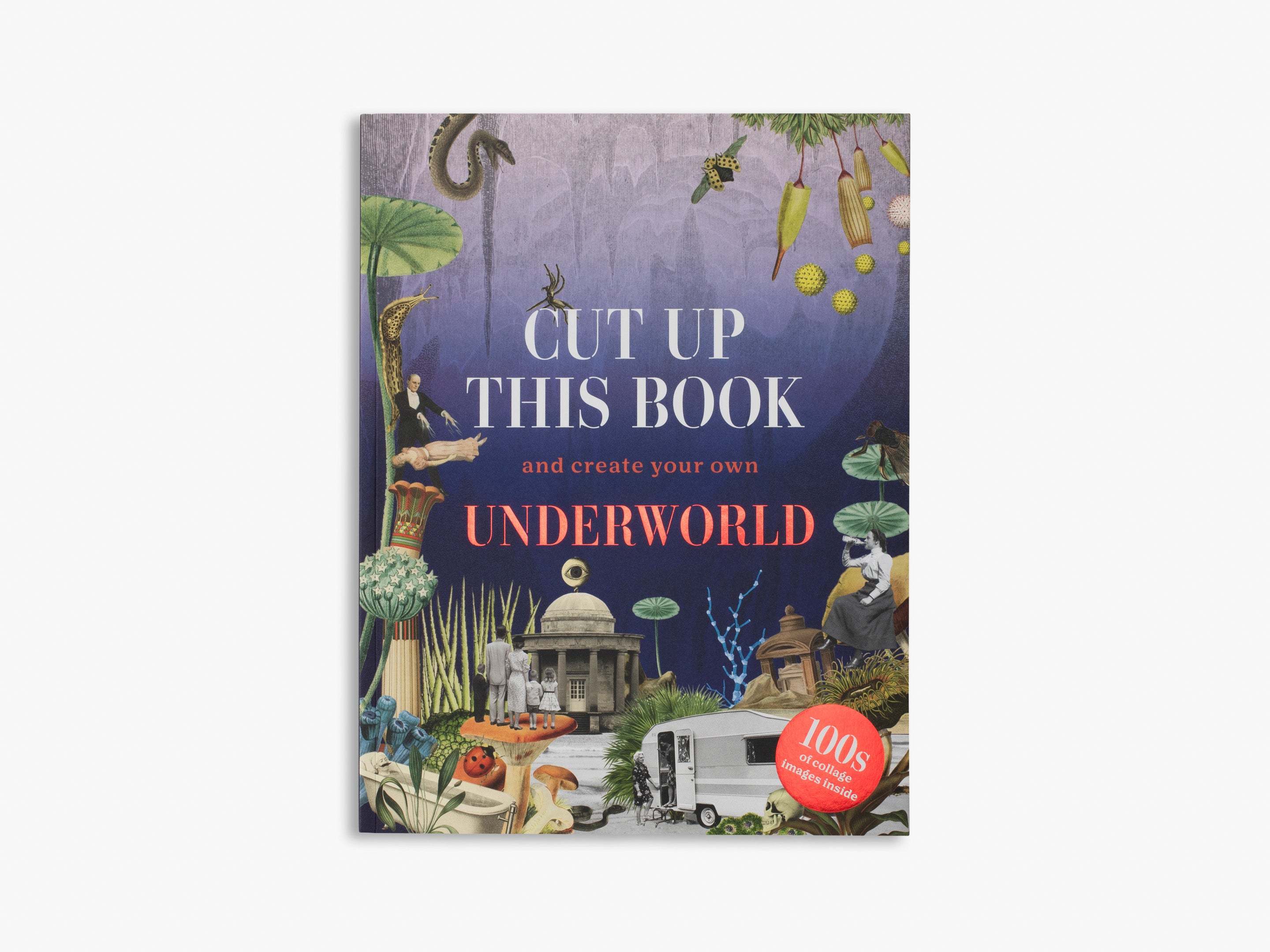 Cut Up This Book and Create Your Own Underworld (Cut up this Book)