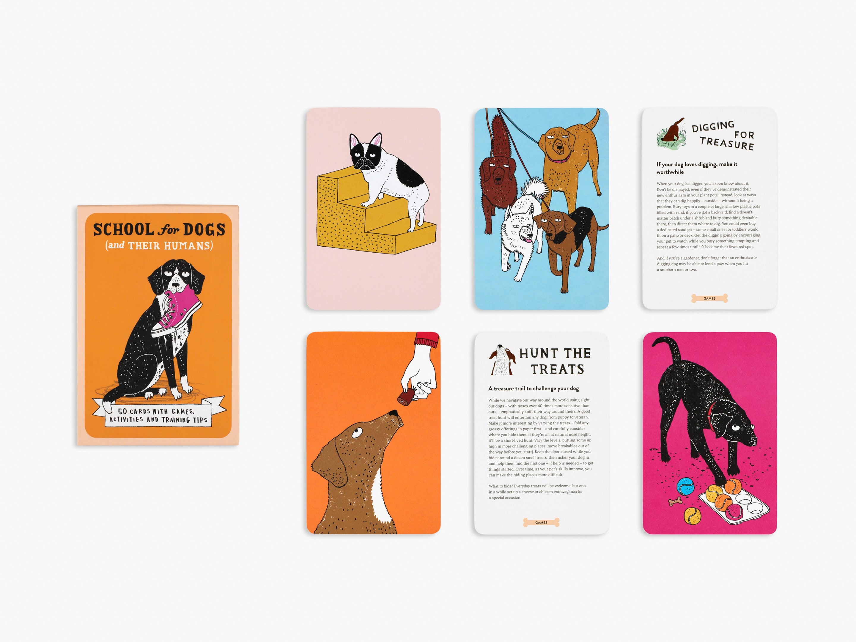 School For Dogs (and their humans)