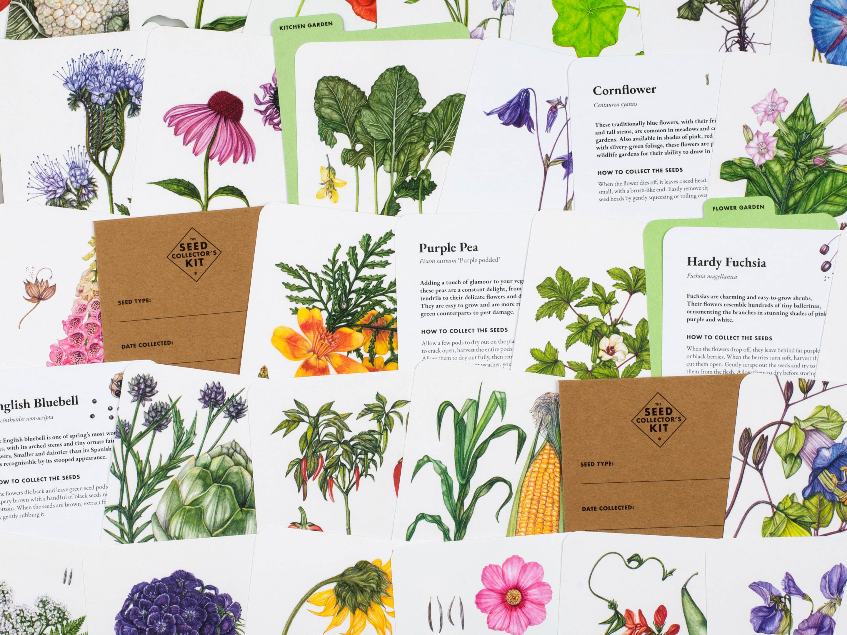 The Seed Collector's Kit