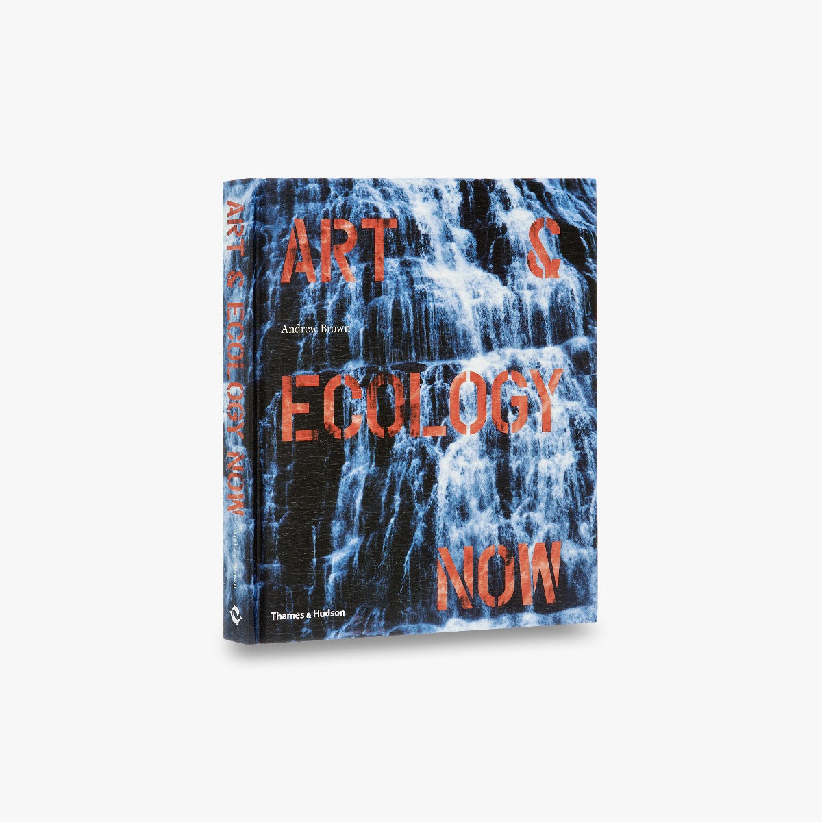 Art & Ecology Now