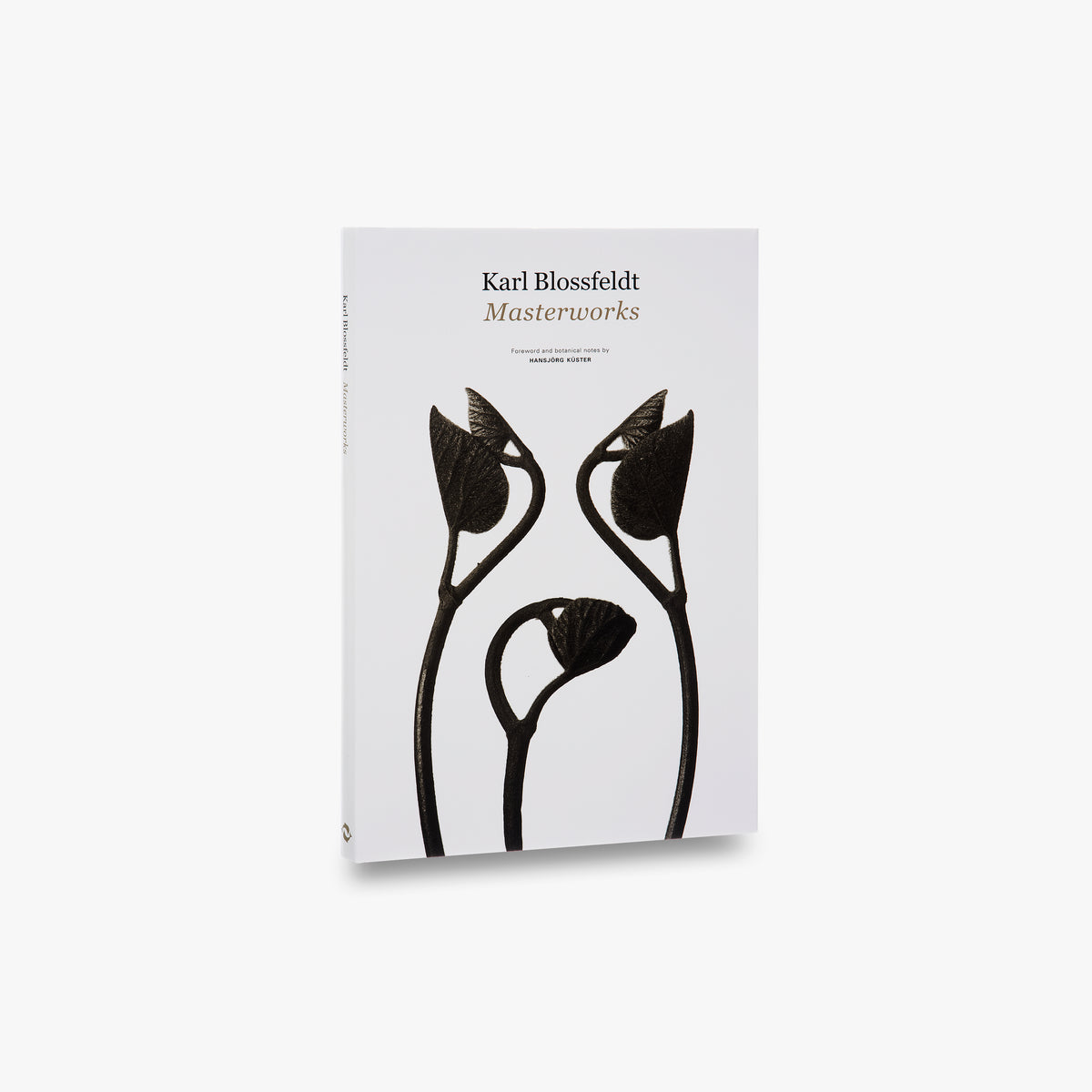 Karl Blossfeldt: Masterworks