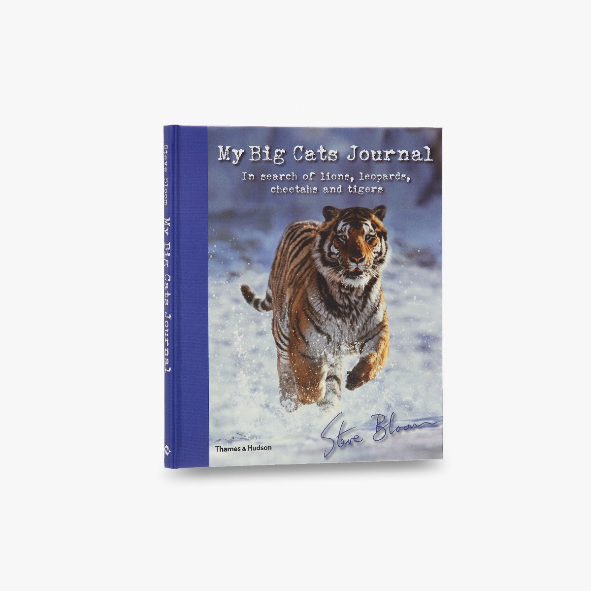 My Big Cats Journal