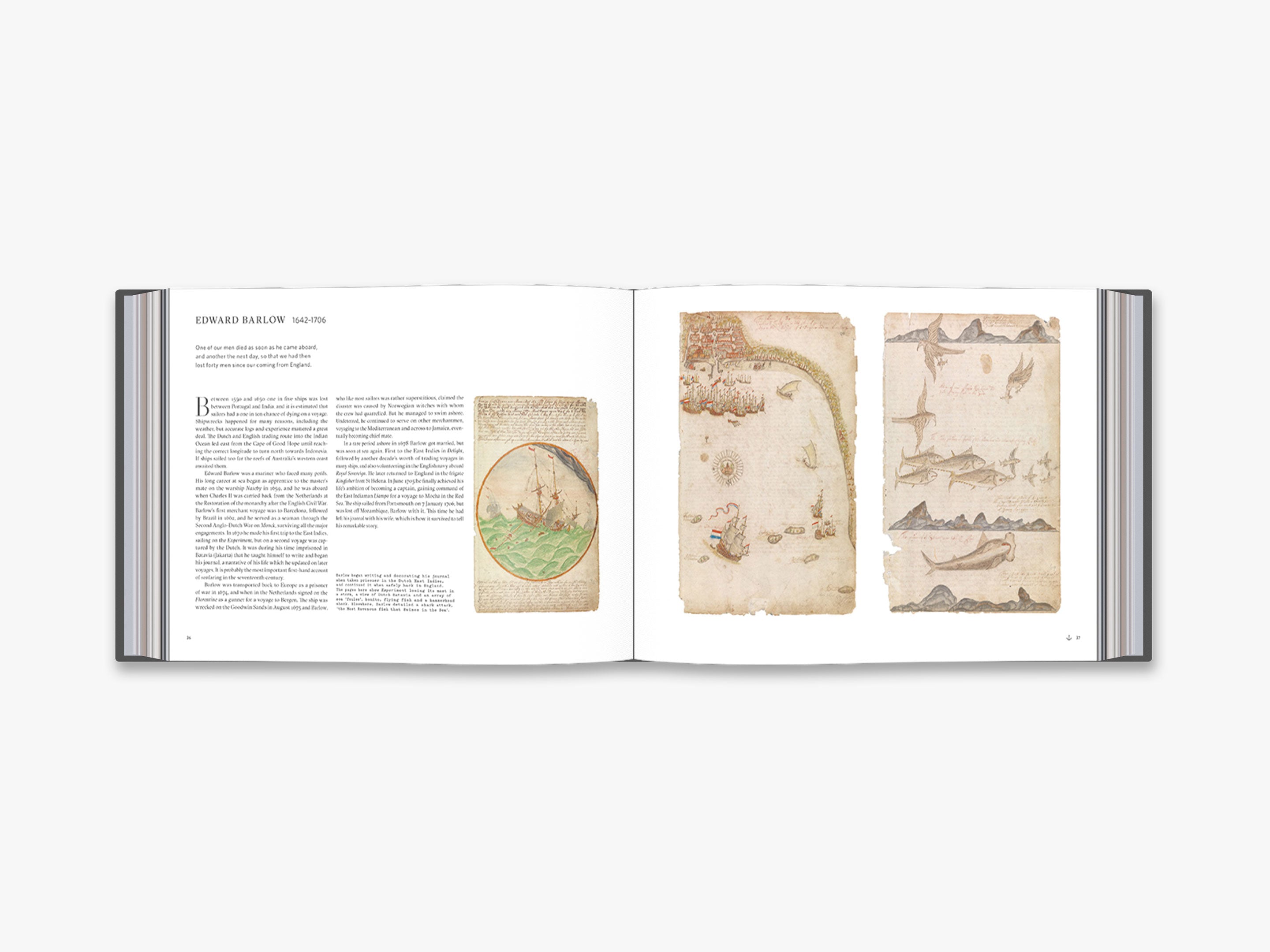 The Sea Journal
