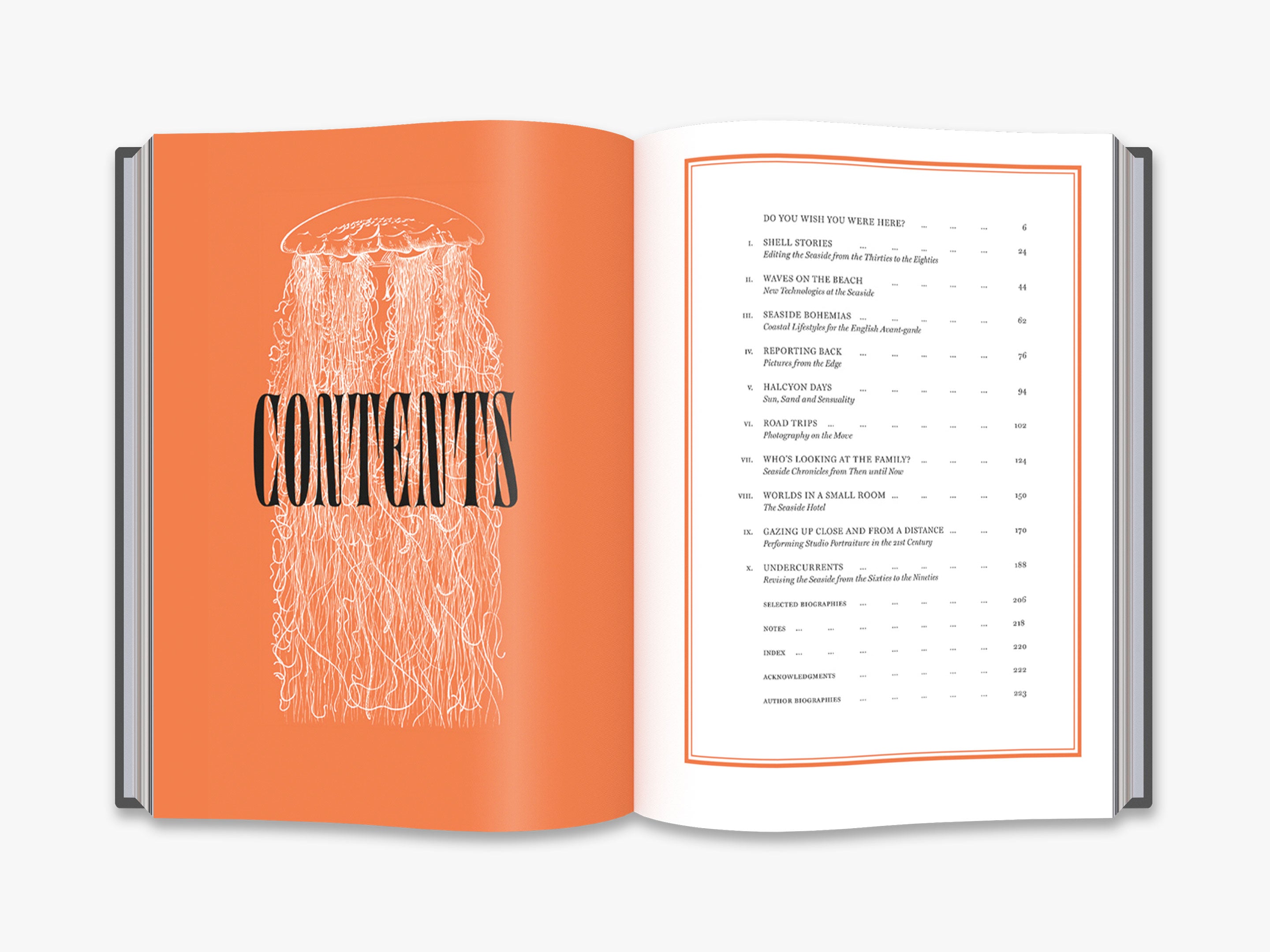 Seaside Photographed