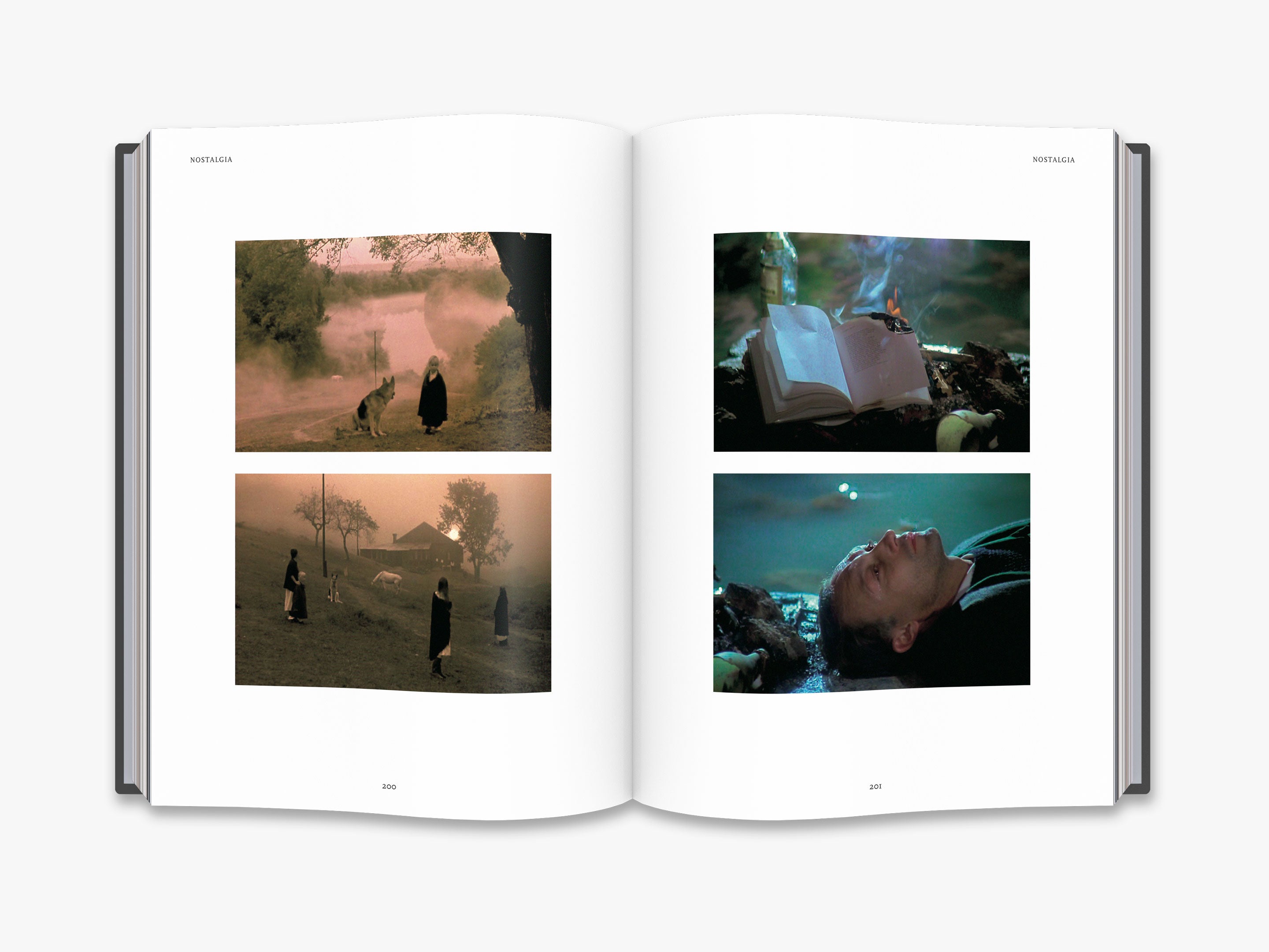 Tarkovsky Films, Stills, Polaroids & Writings /anglais