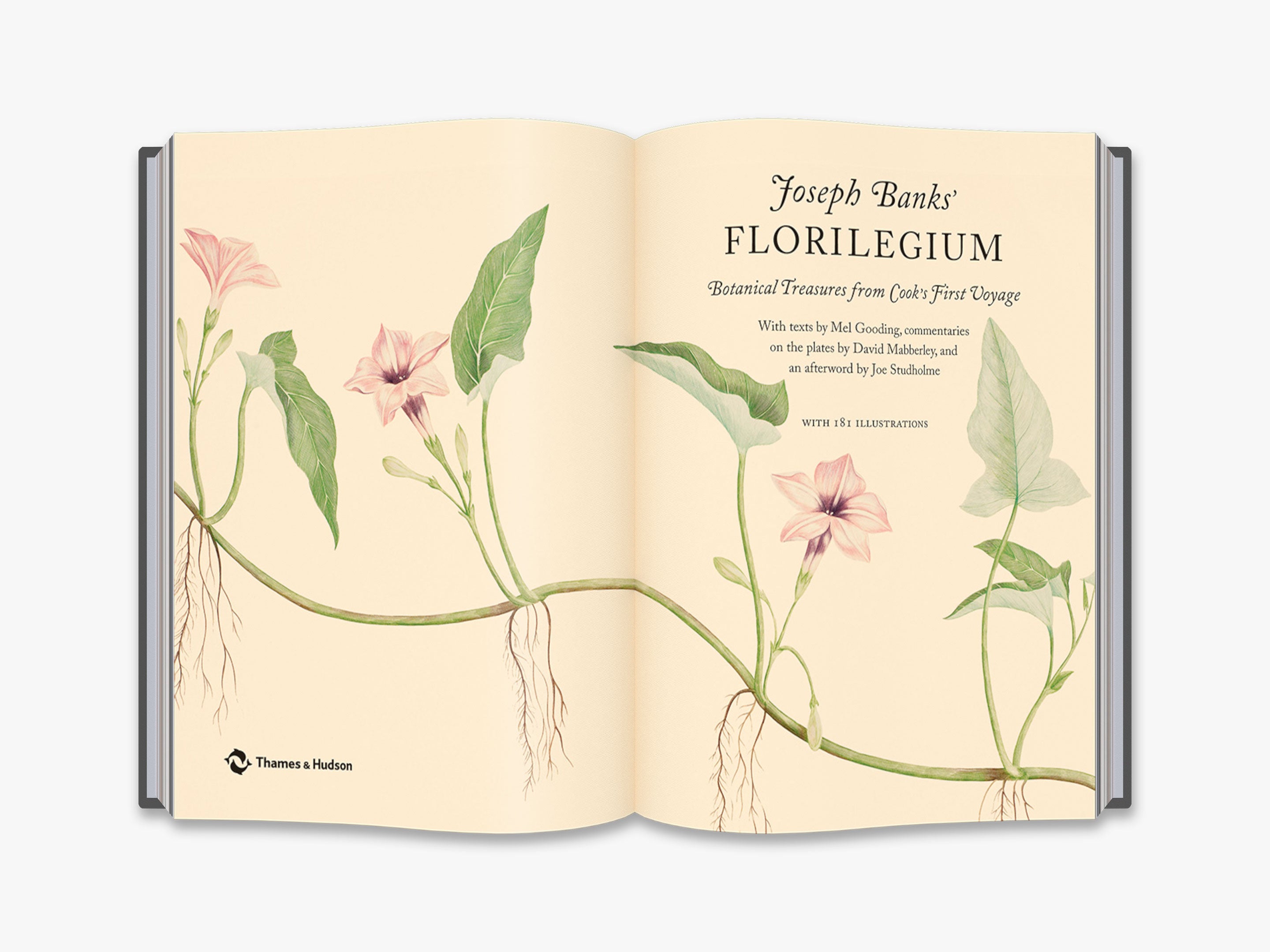 Joseph Banks' Florilegium