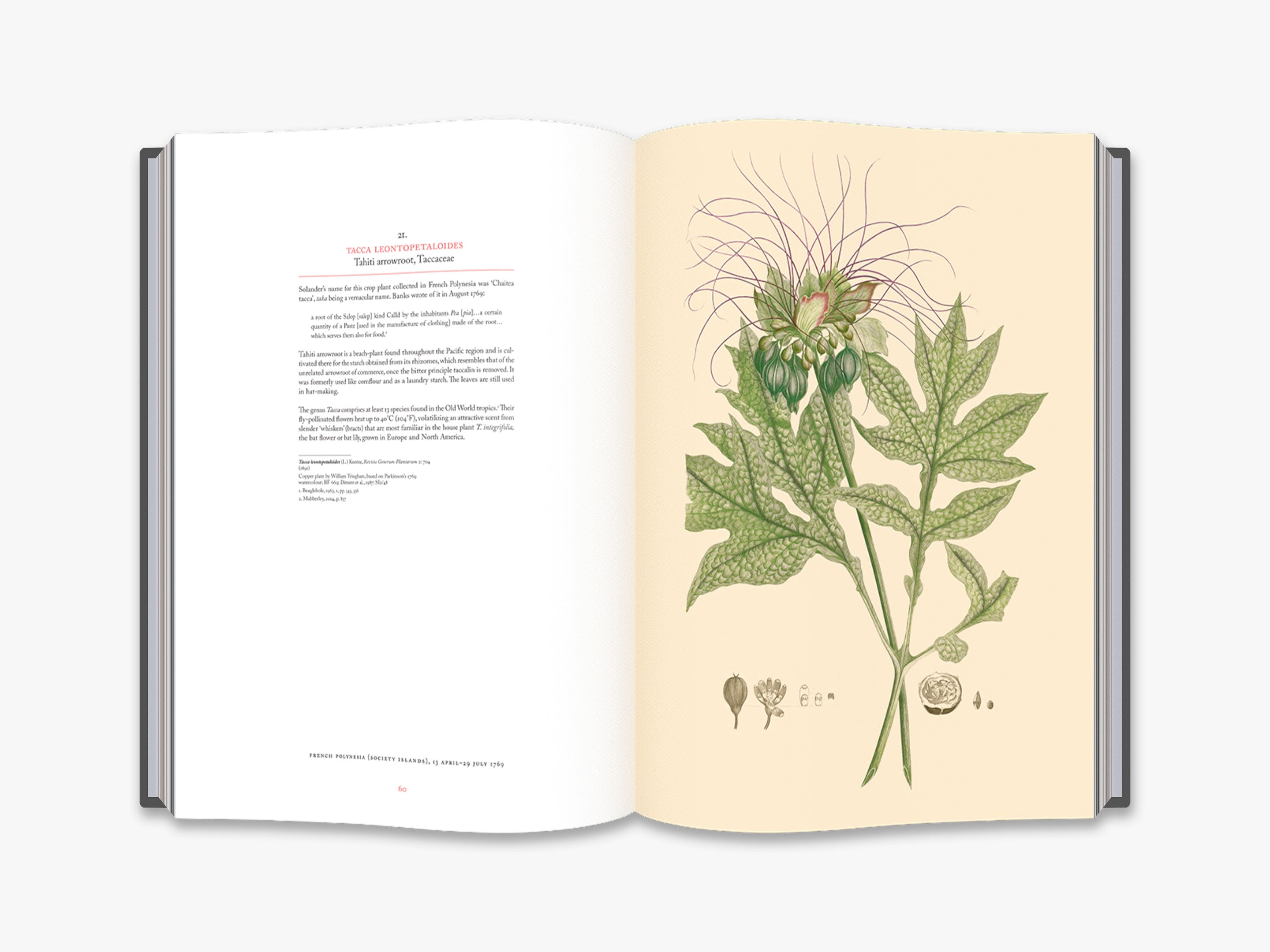 趣味・スポーツ・実用 Cook's Voyages and Banks' Florilegium Joseph Banks' Florilegium