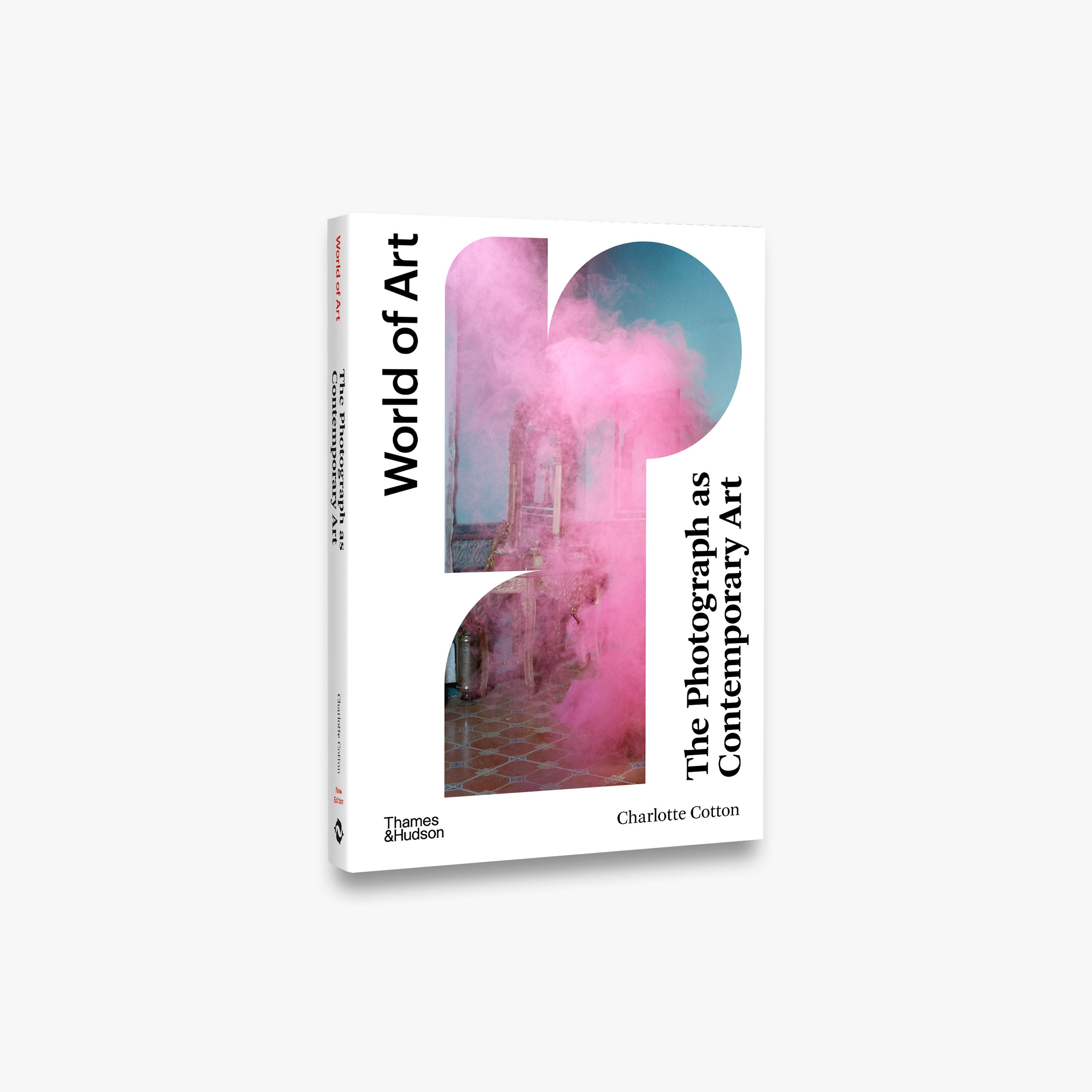The Photograph as Contemporary Art (World of Art)