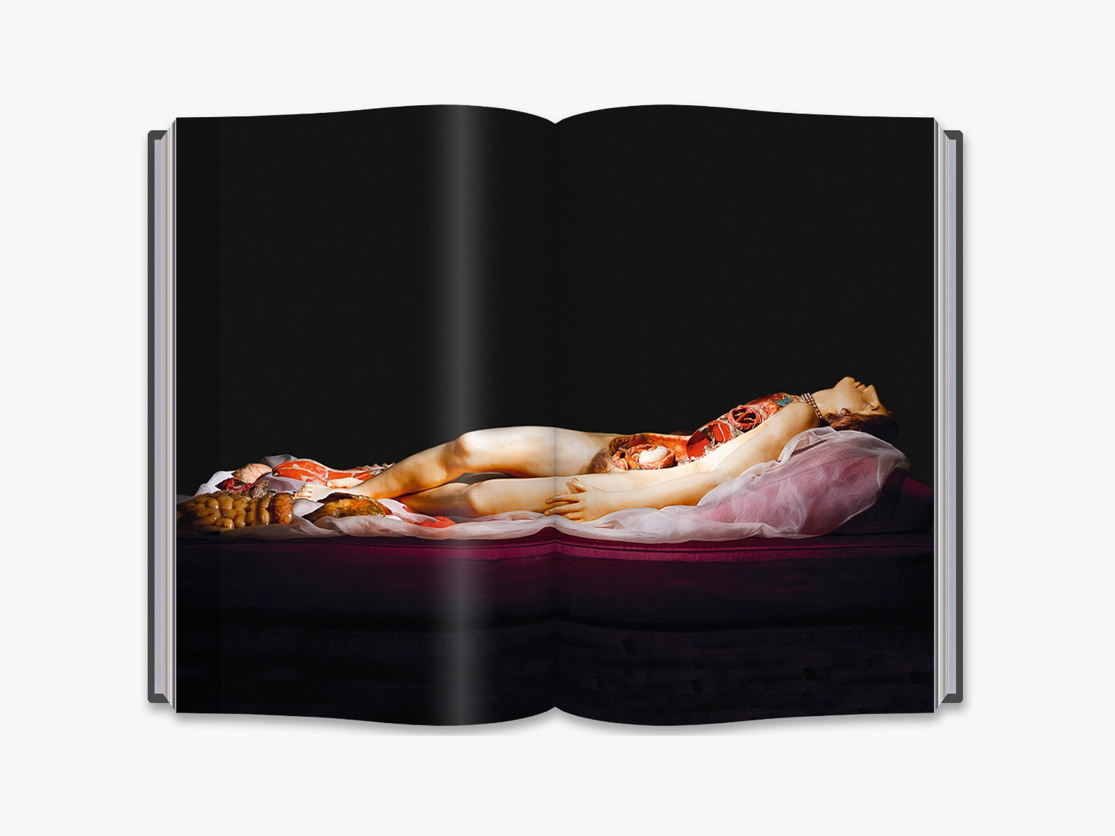 The Anatomical Venus