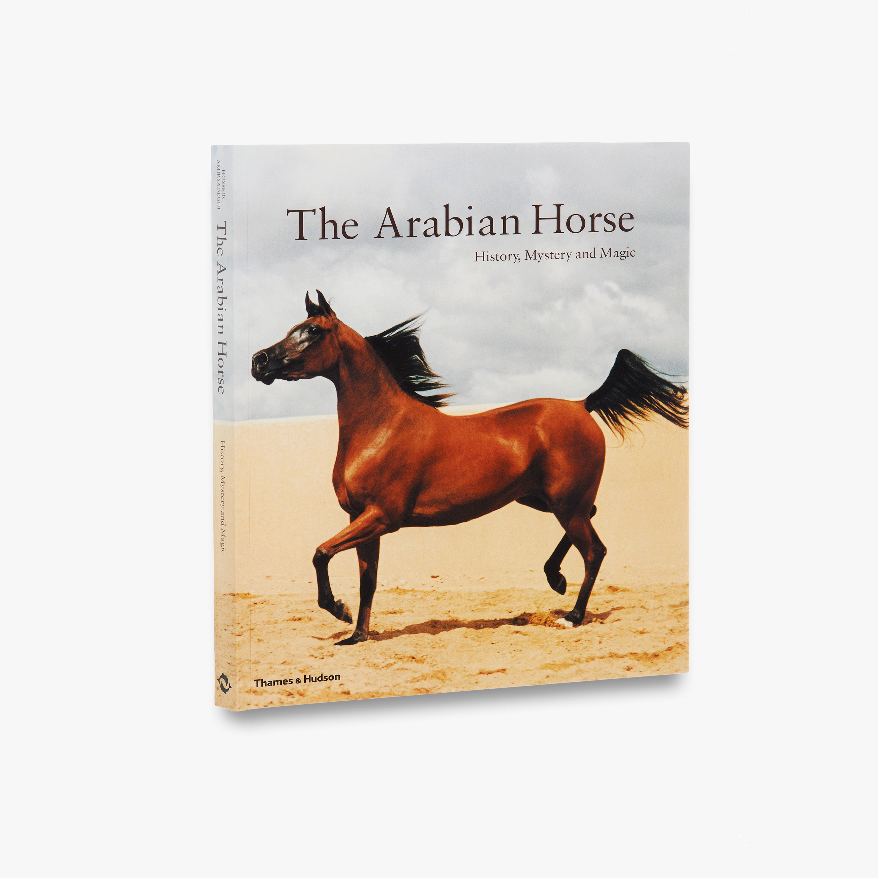 The Arabian Horse