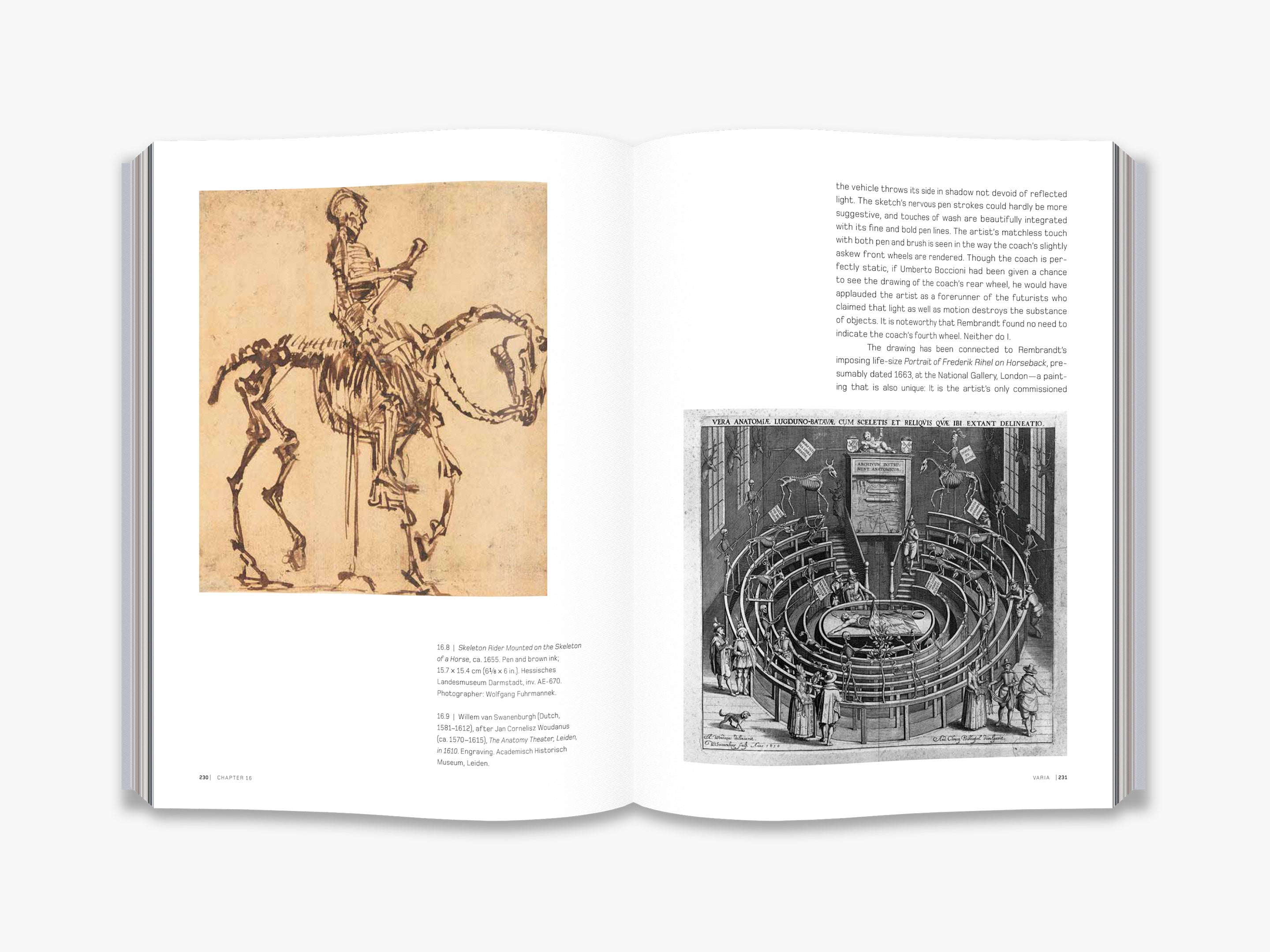 The Drawings of Rembrandt