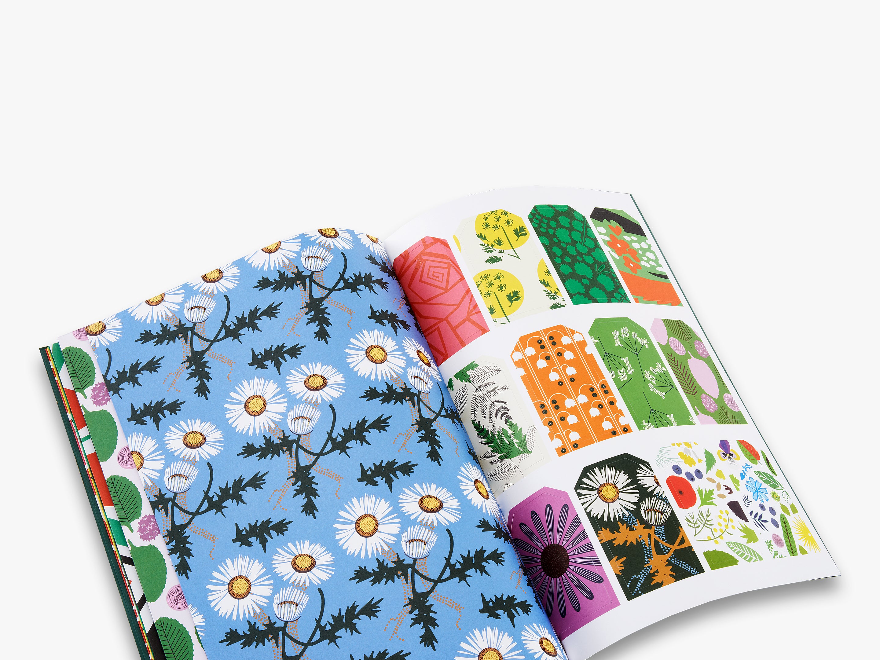Herbarium: Gift Wrapping Paper Book