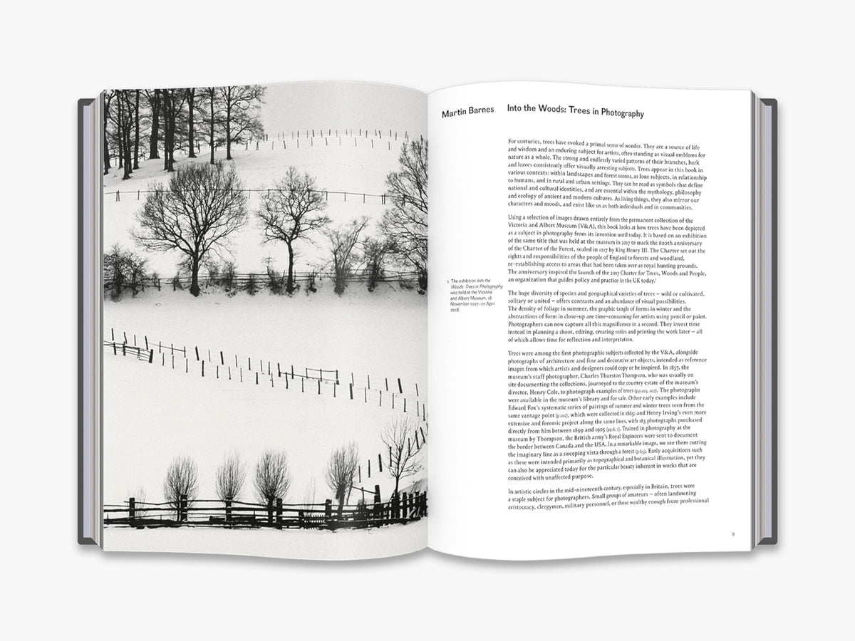 Into the Woods: Trees in Photography  (Photography Library; V&A)
