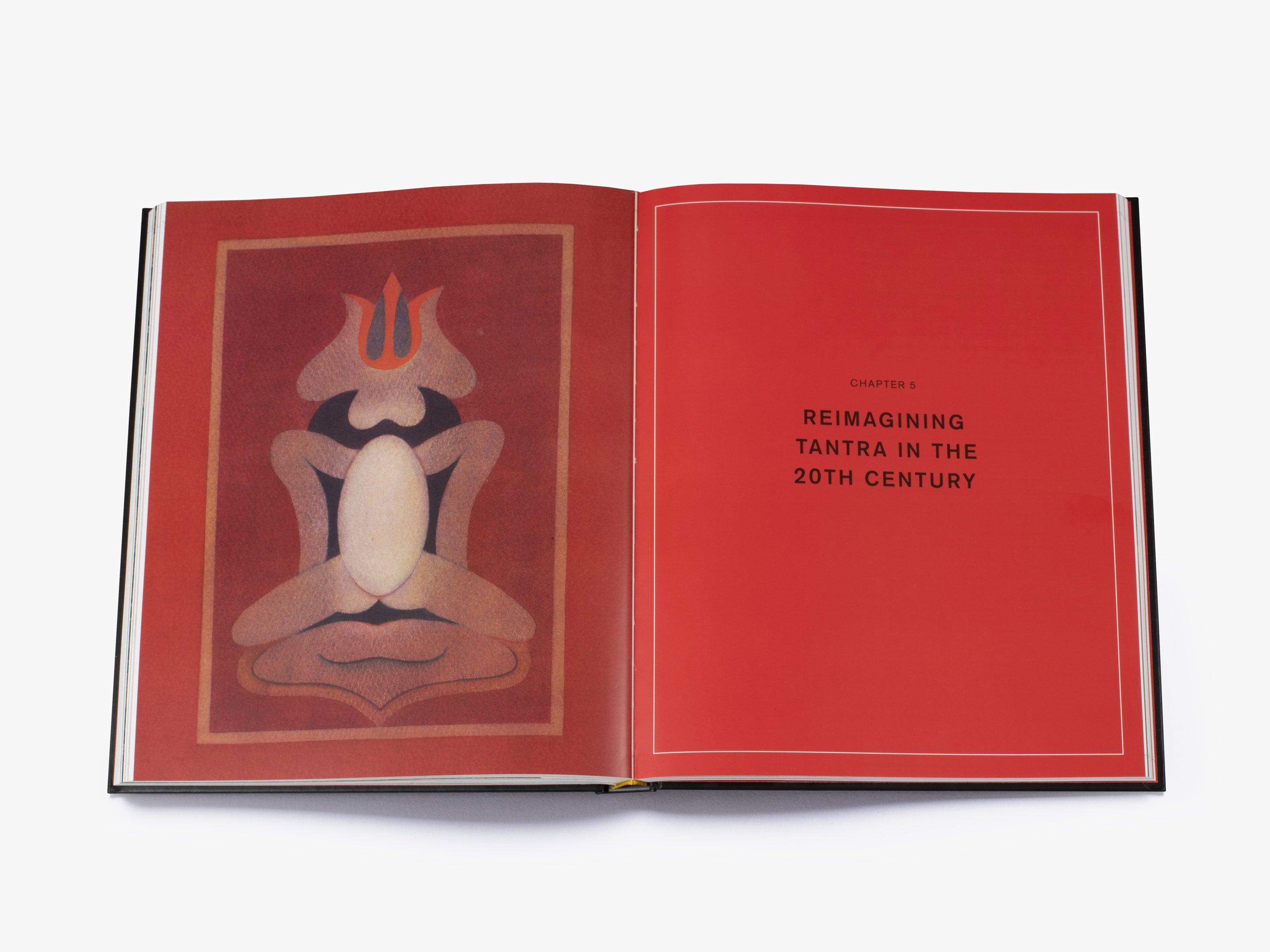 tantra by Philip Rawson タントラ　洋書 Tantra
