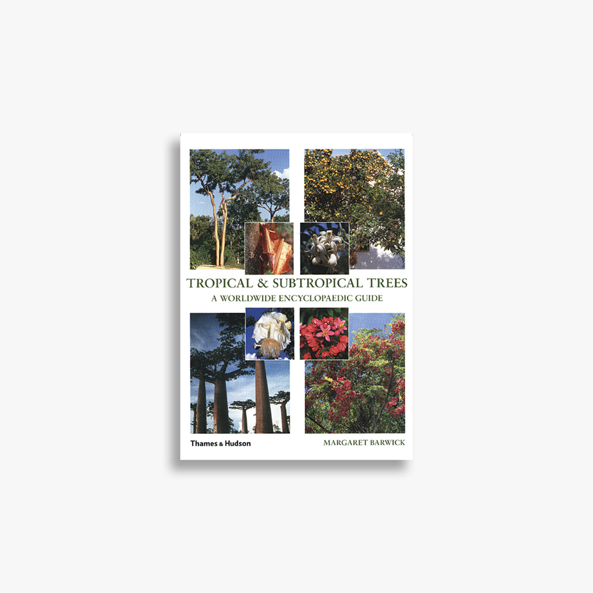 Tropical & Subtropical Trees