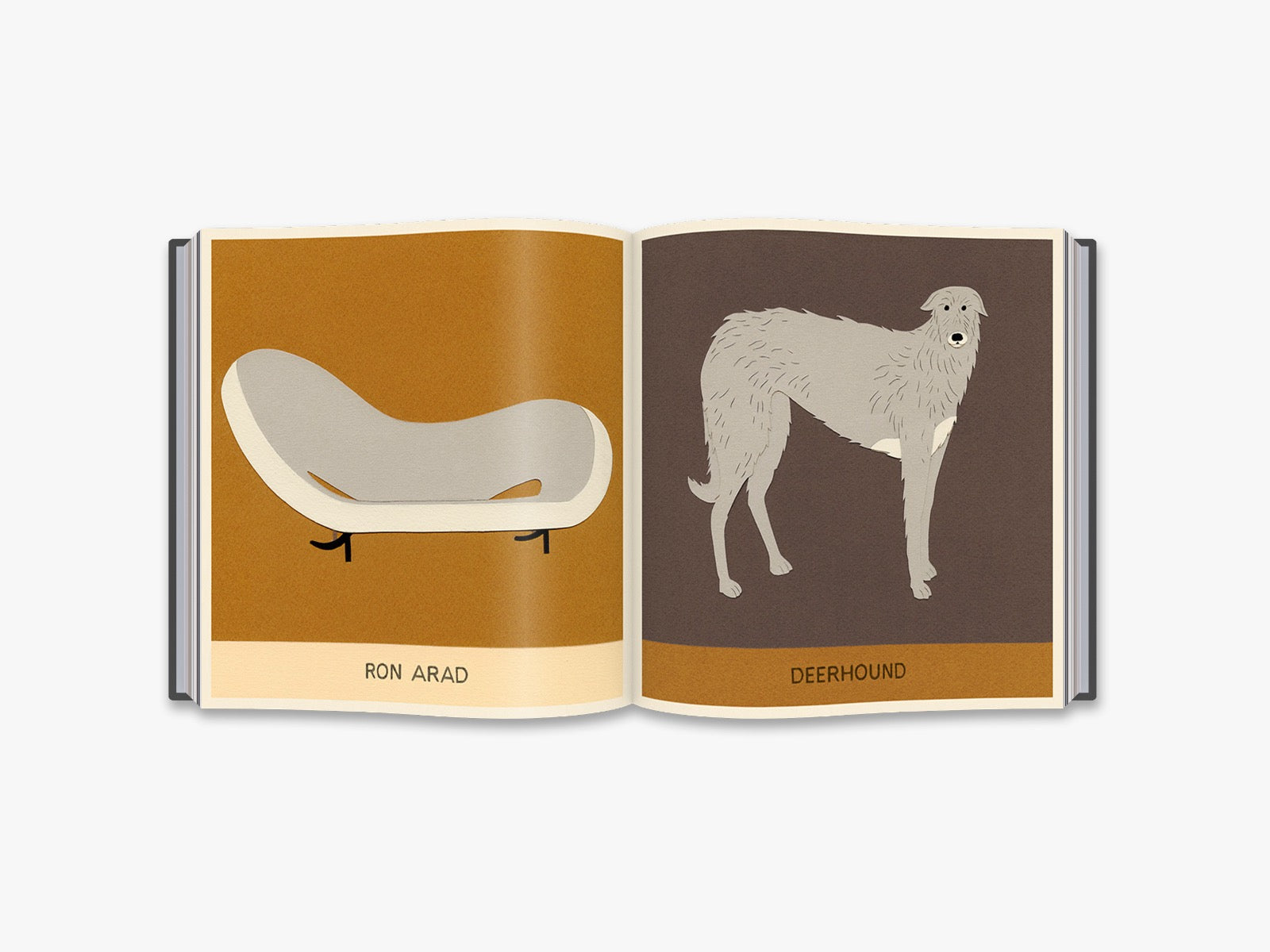 Dogs and Chairs