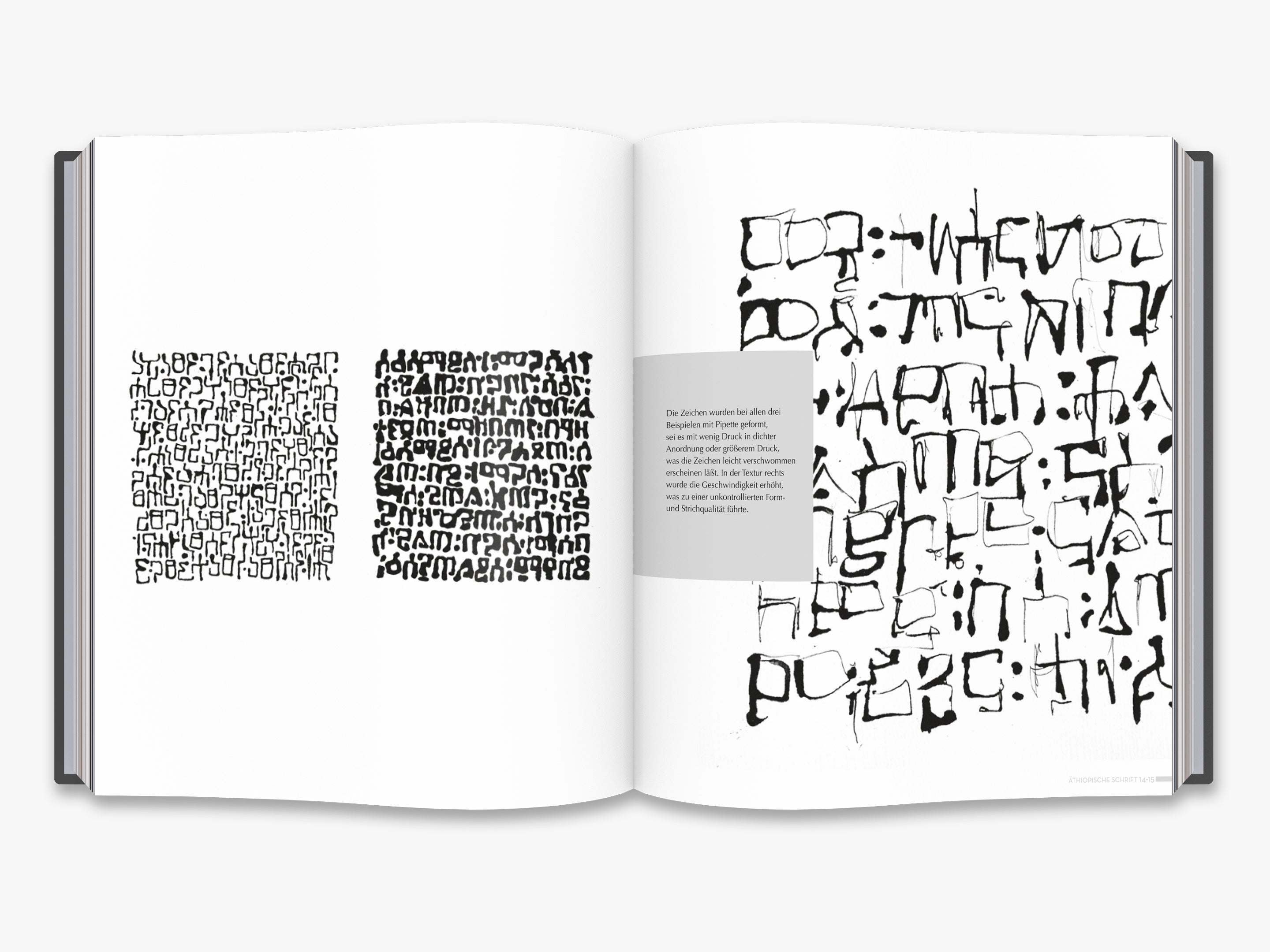 CALLIGRAPHY Denise Lach デニスラック　洋書 CALLIGRAPHY Denise Lach デニスラック 洋書 Calligraphy: A