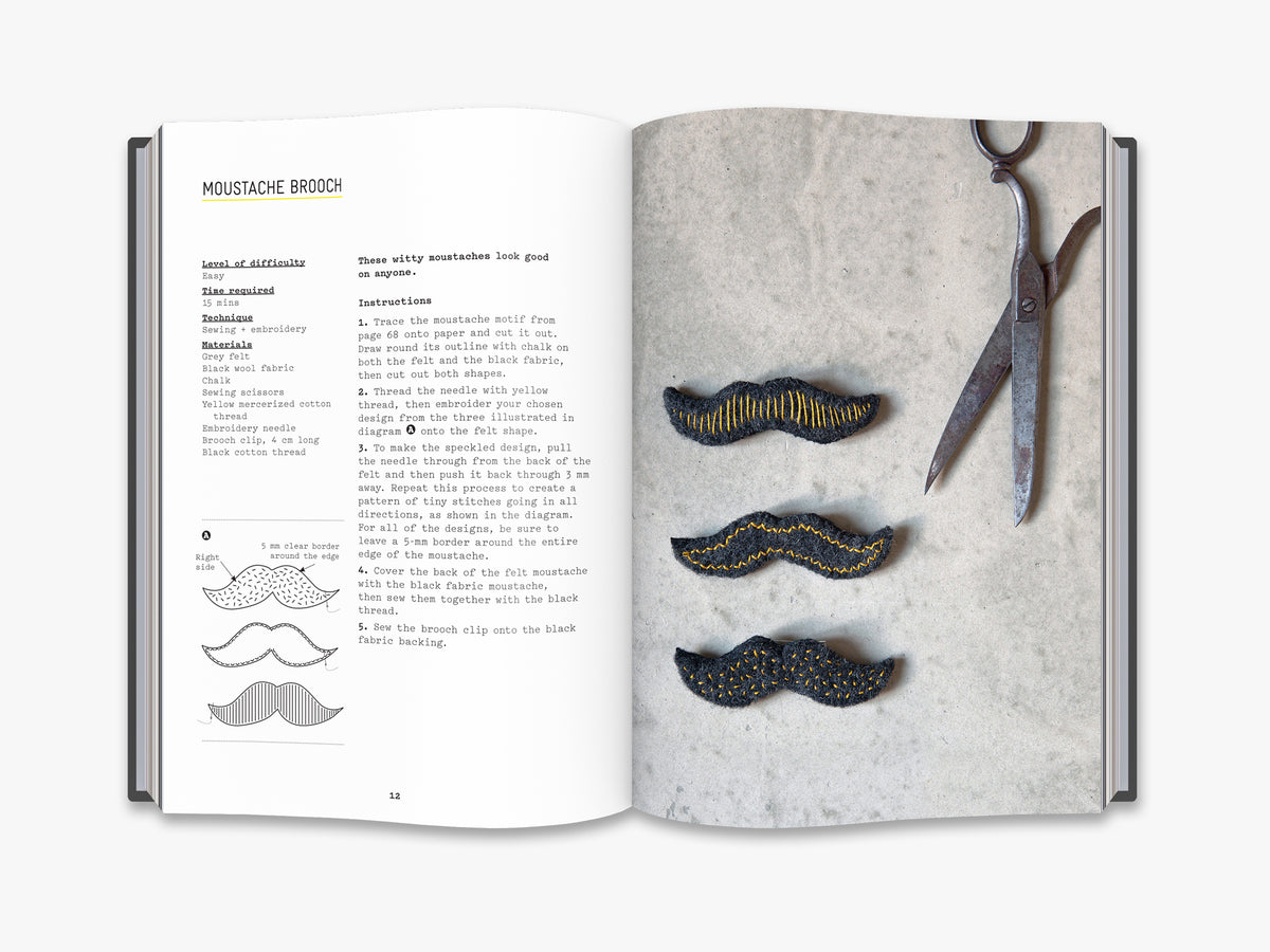 Brooches (A Craft Studio Book)