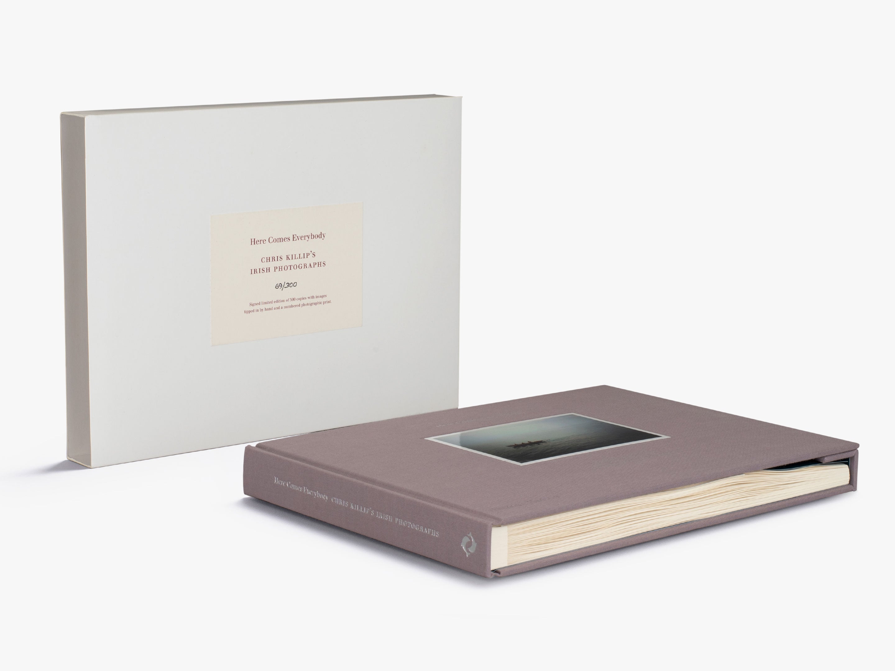 Here Comes Everybody (Limited Edition)