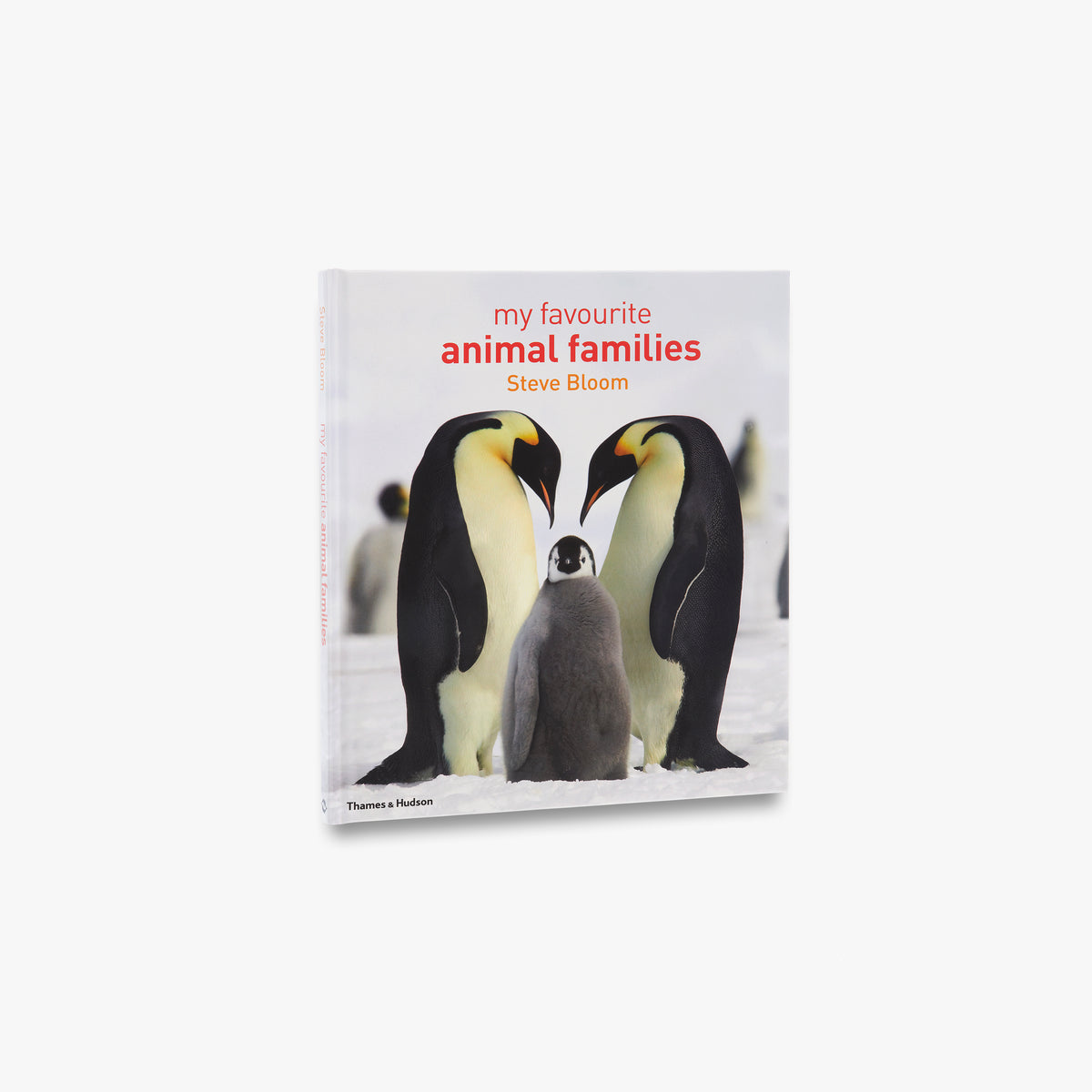 My Favourite Animal Families