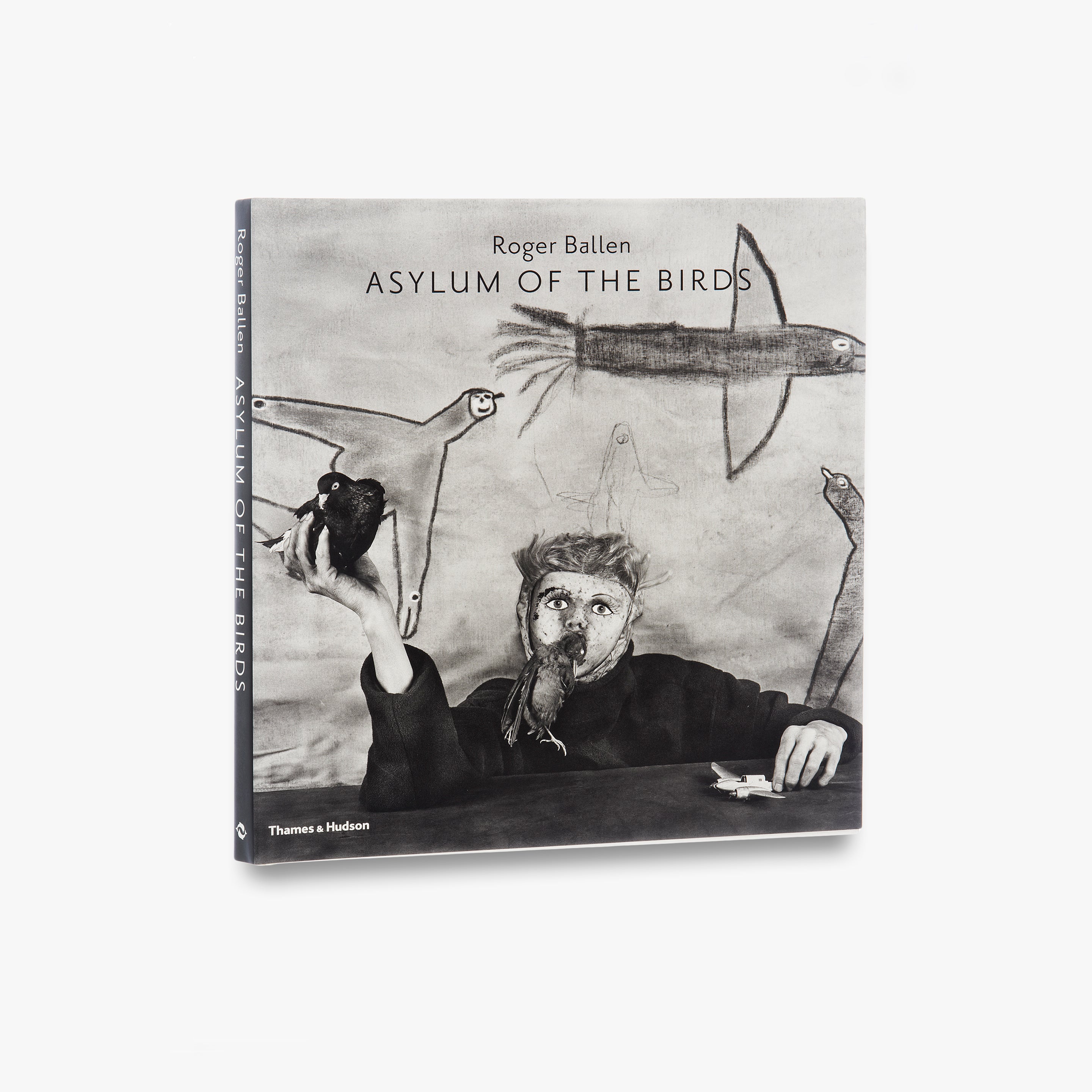 Asylum of the Birds