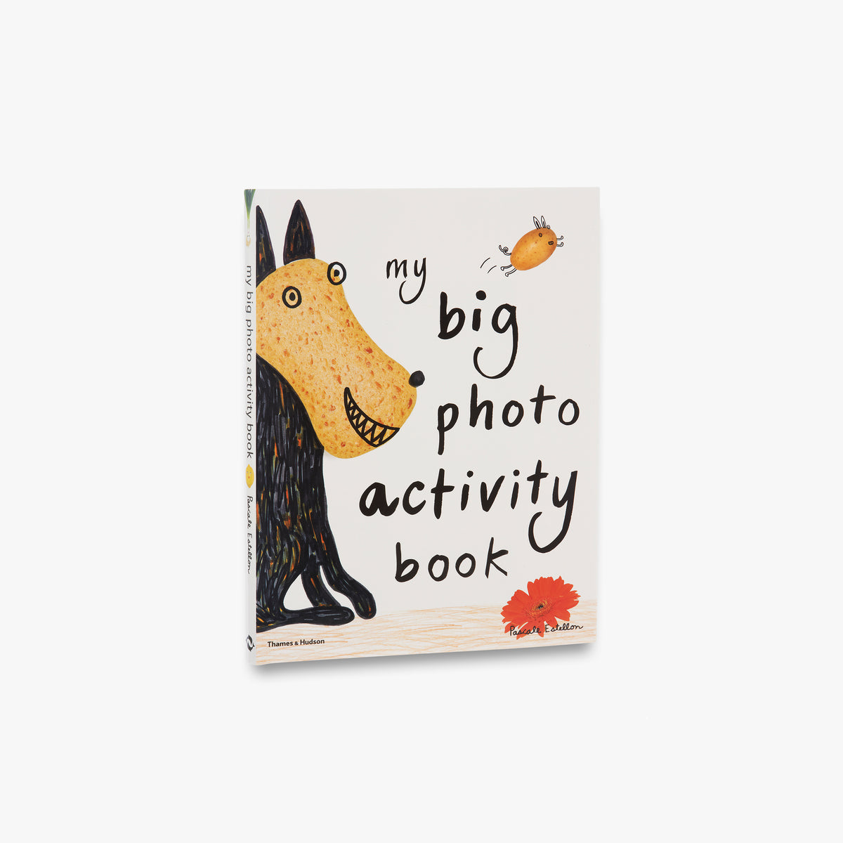 My Big Photo Activity Book