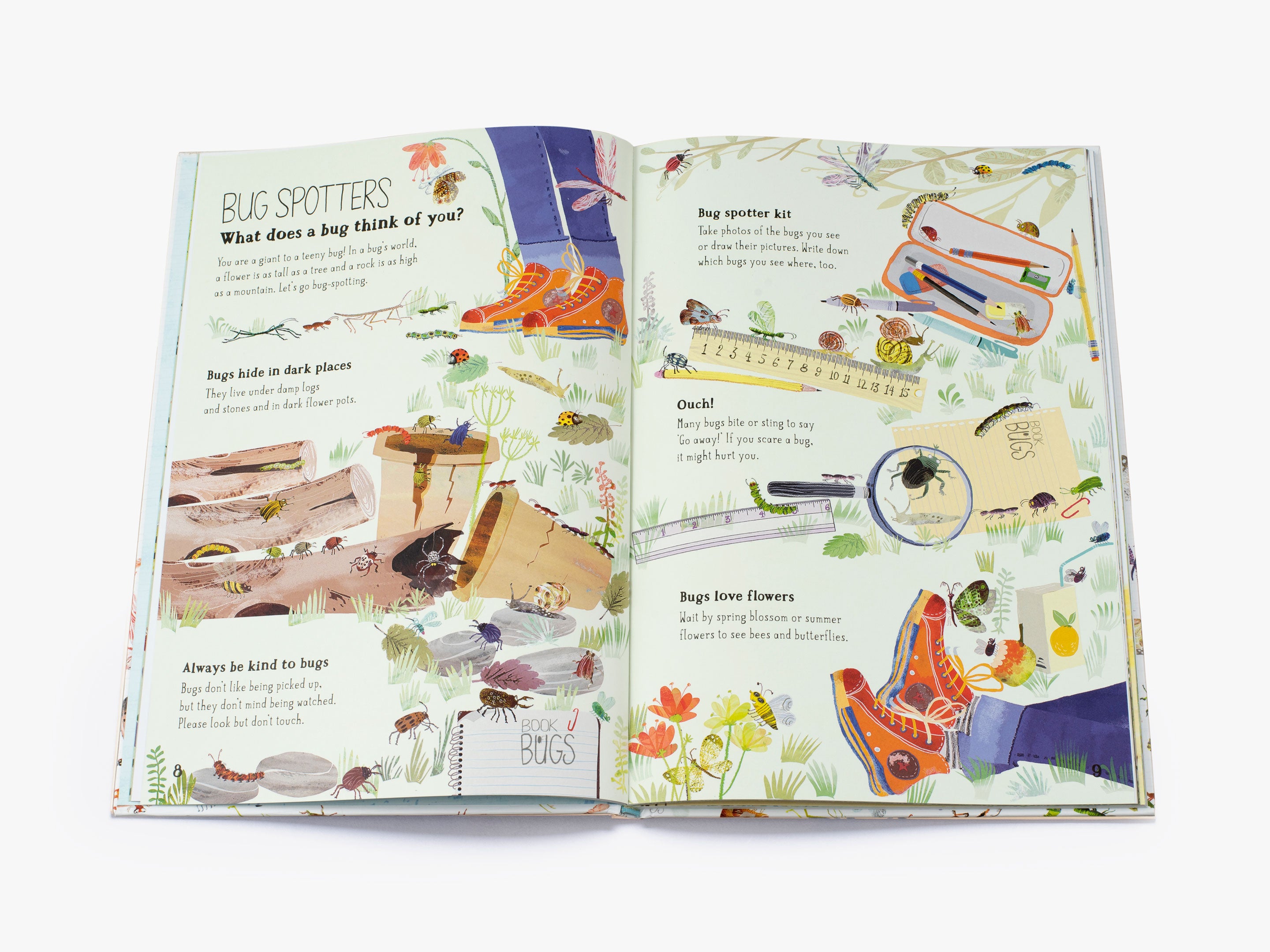 The Big Book of Bugs (The Big Book series)