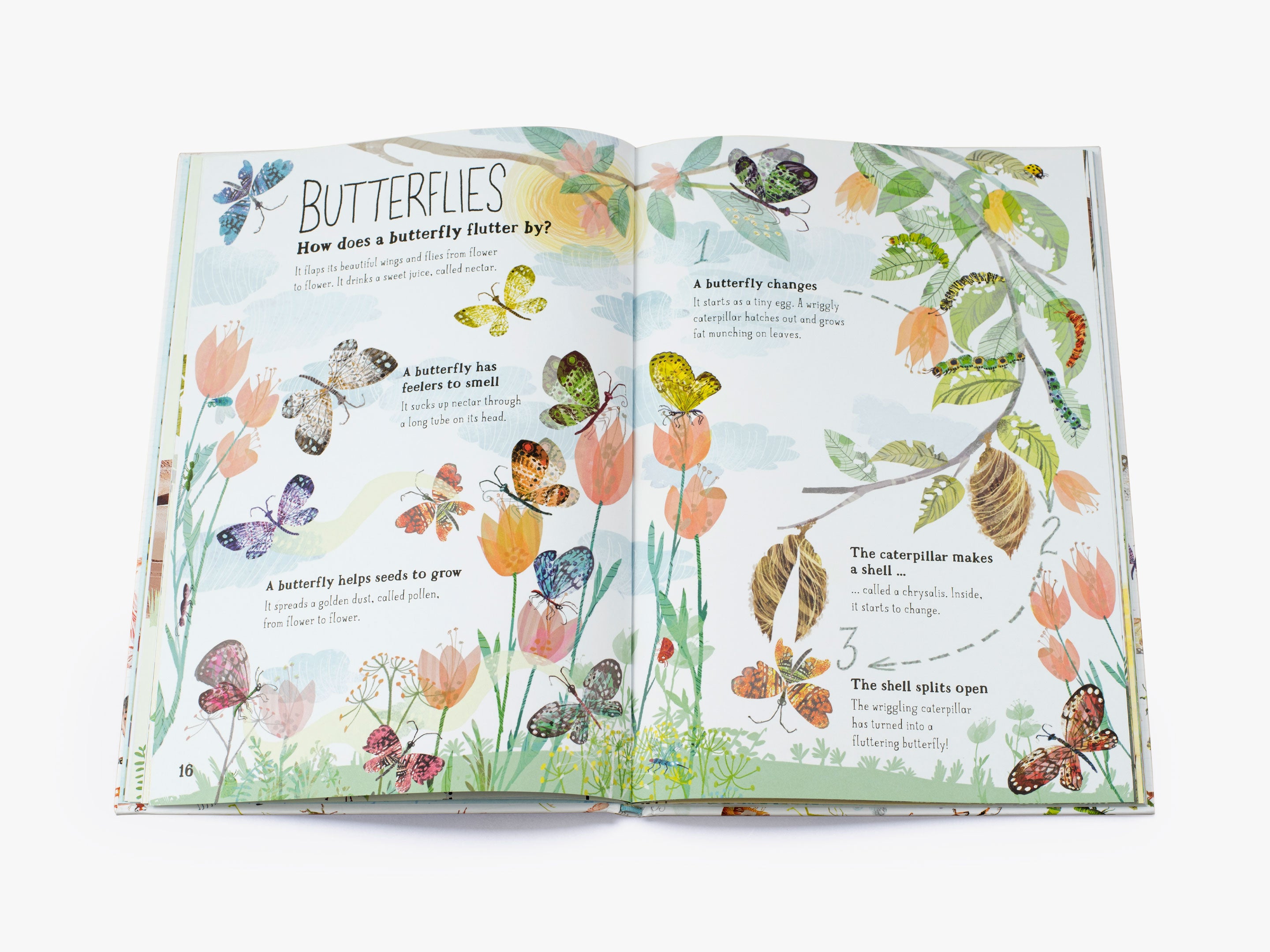 The Big Book of Bugs (The Big Book series)