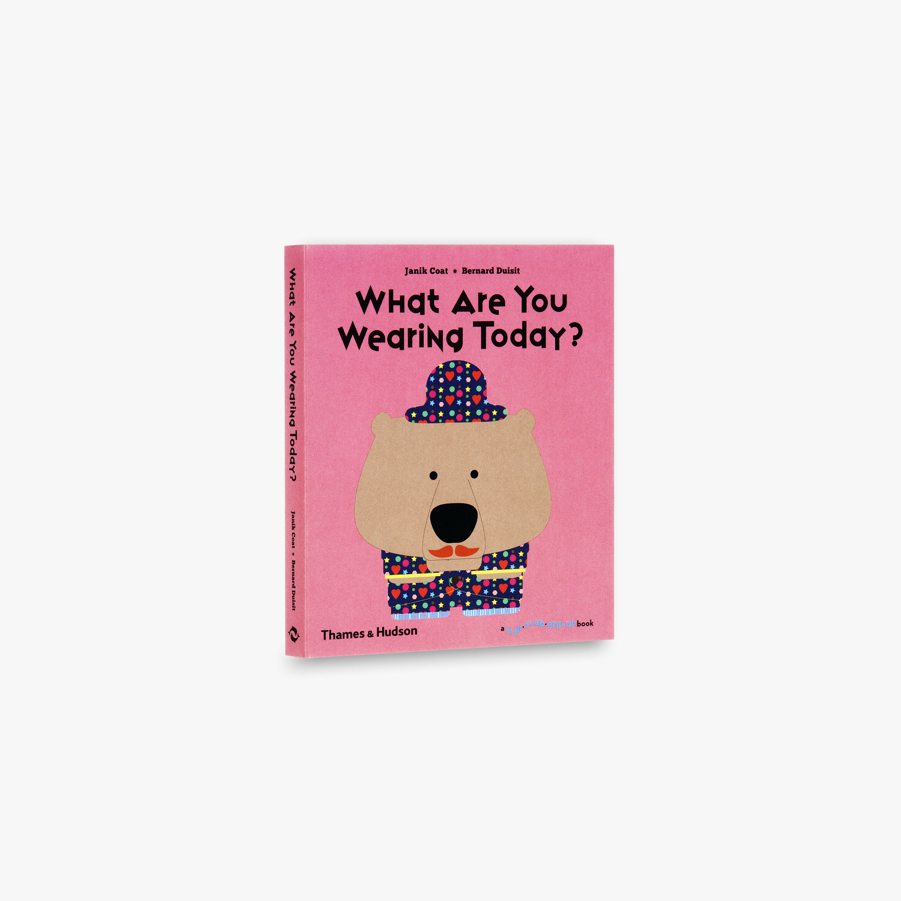 What Are You Wearing Today? (A Flip Flap Pop Up Book)