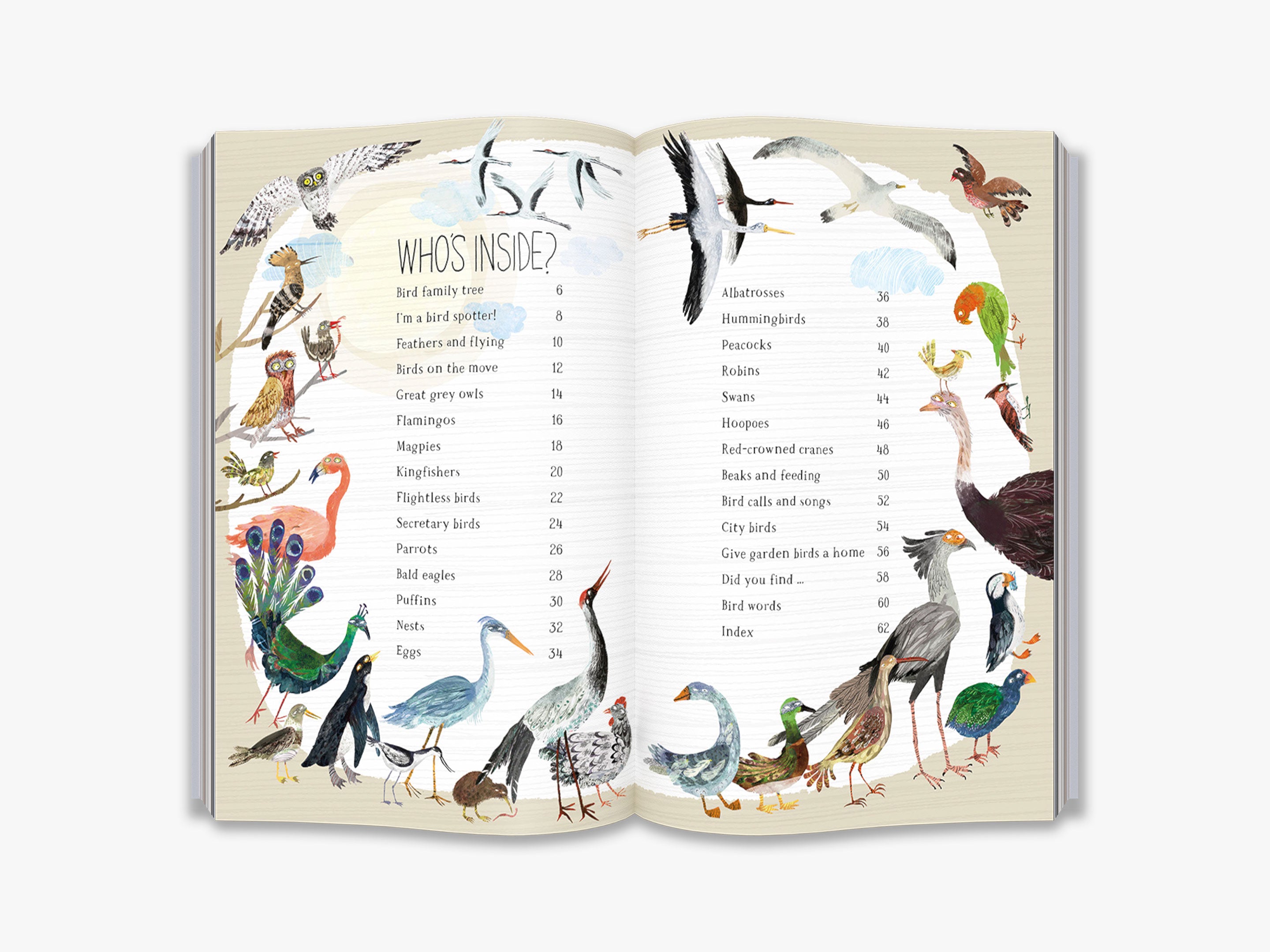 The Big Book of Birds (The Big Book series)