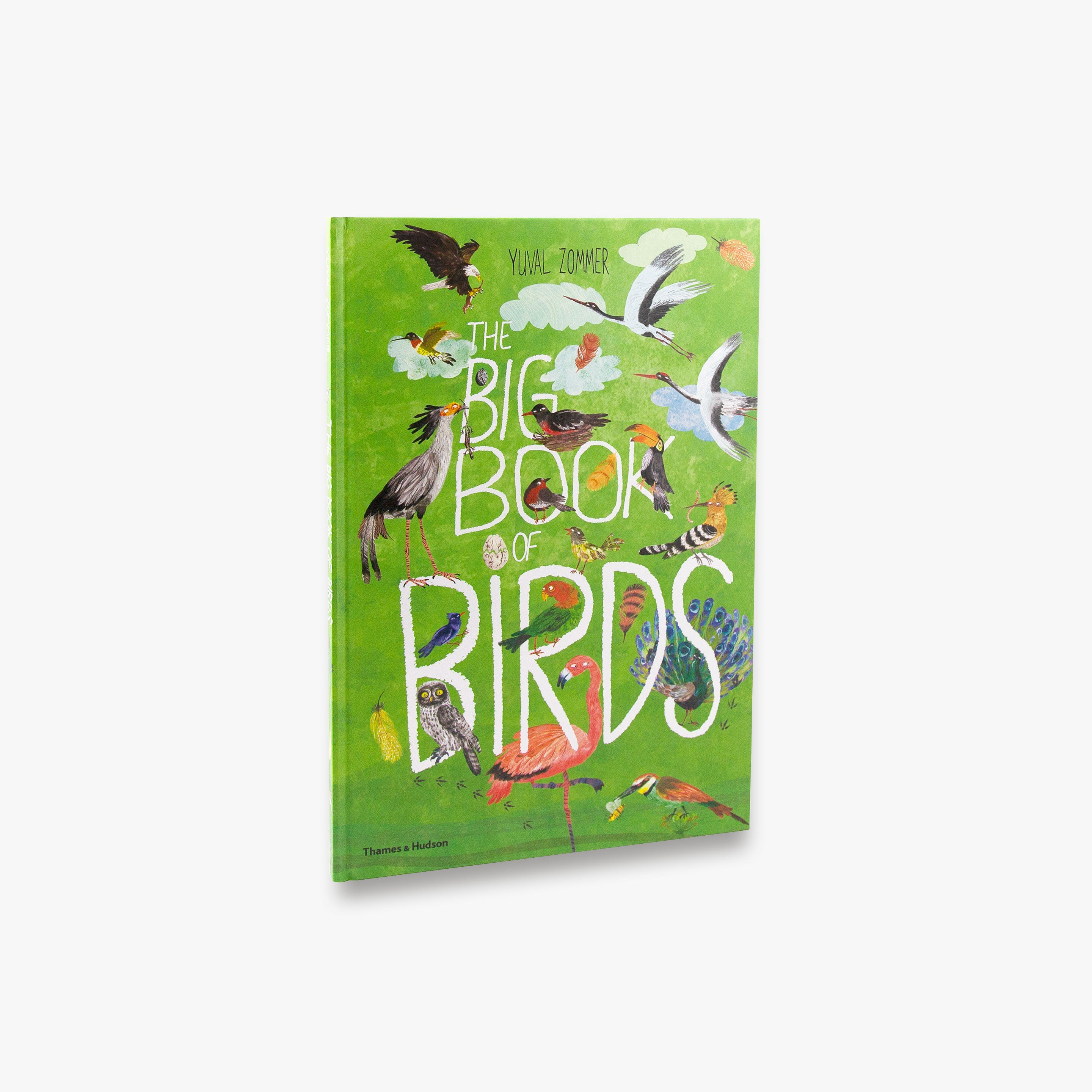 The Big Book of Birds (The Big Book series)