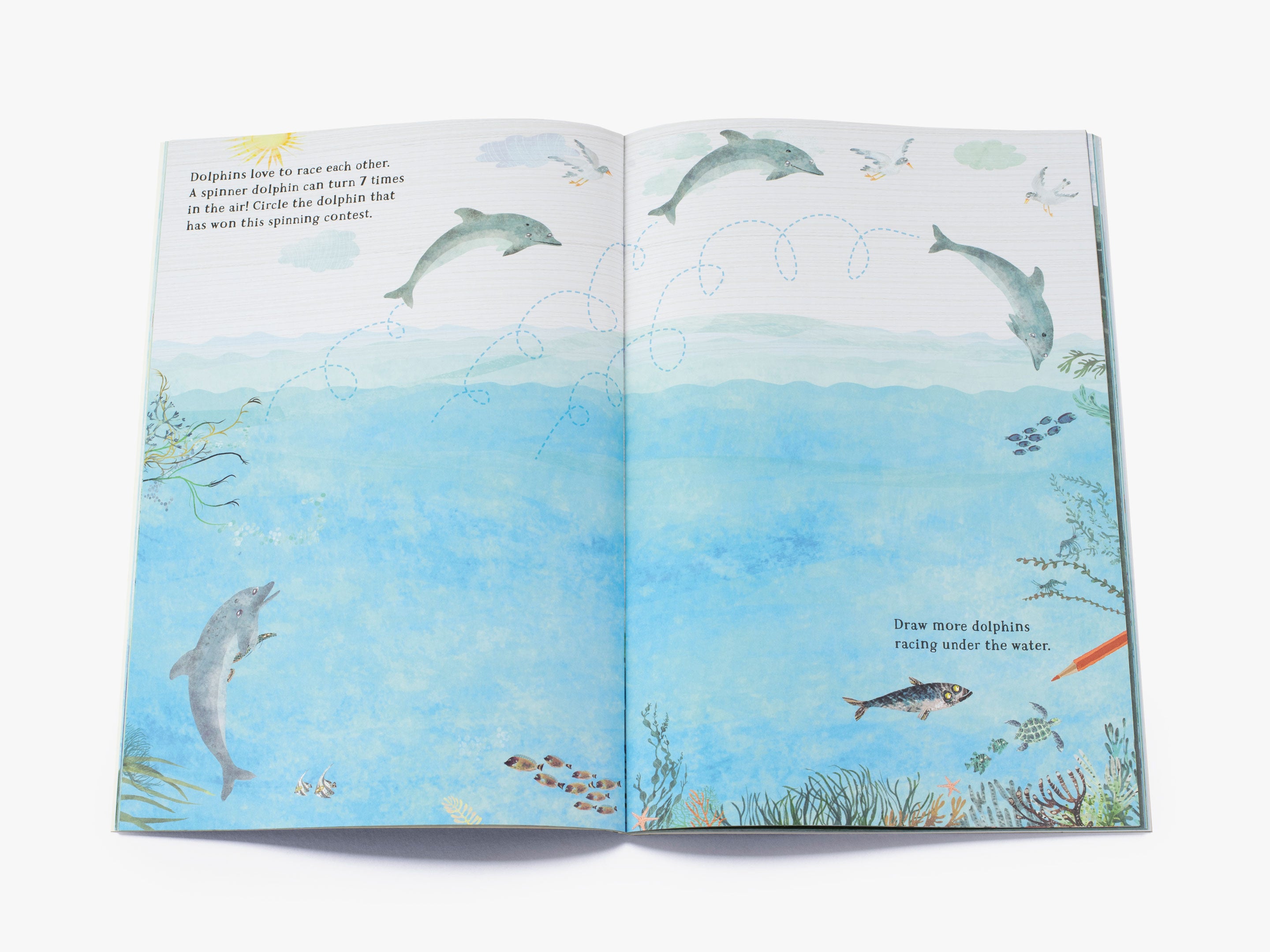 The Big Sticker Book of the Blue (The Big Book series)