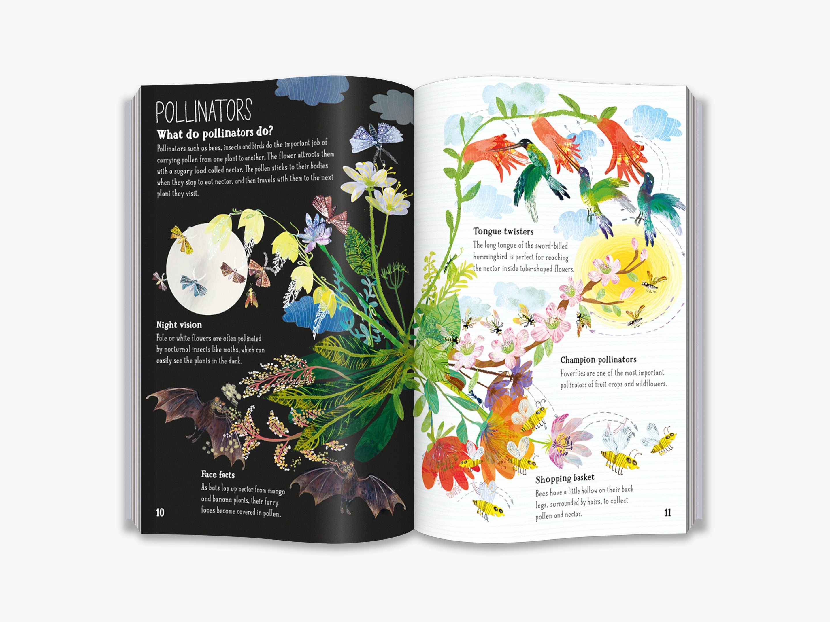 The Big Book of Blooms (The Big Book series)
