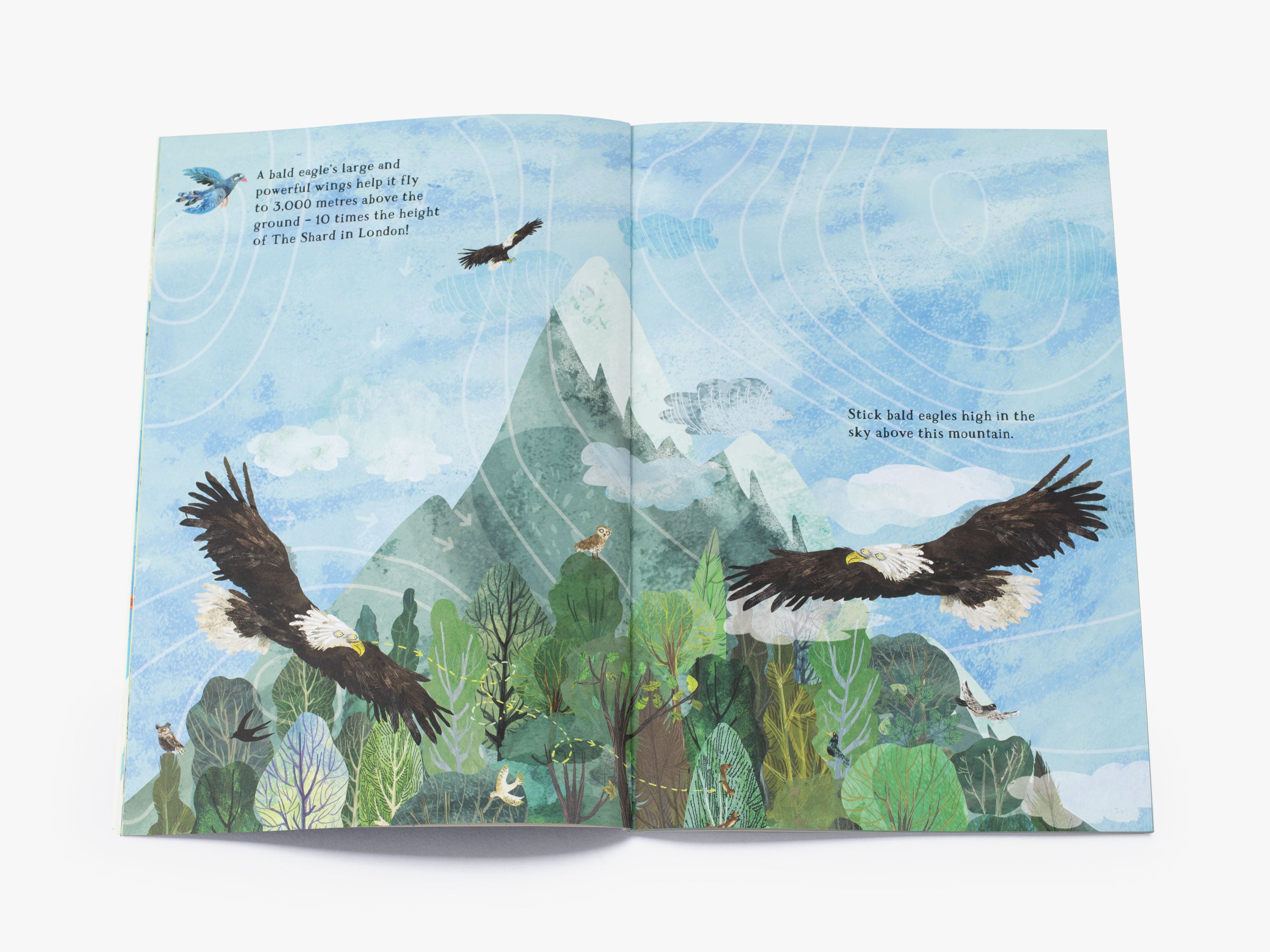 The Big Sticker Book of Birds (The Big Book series)