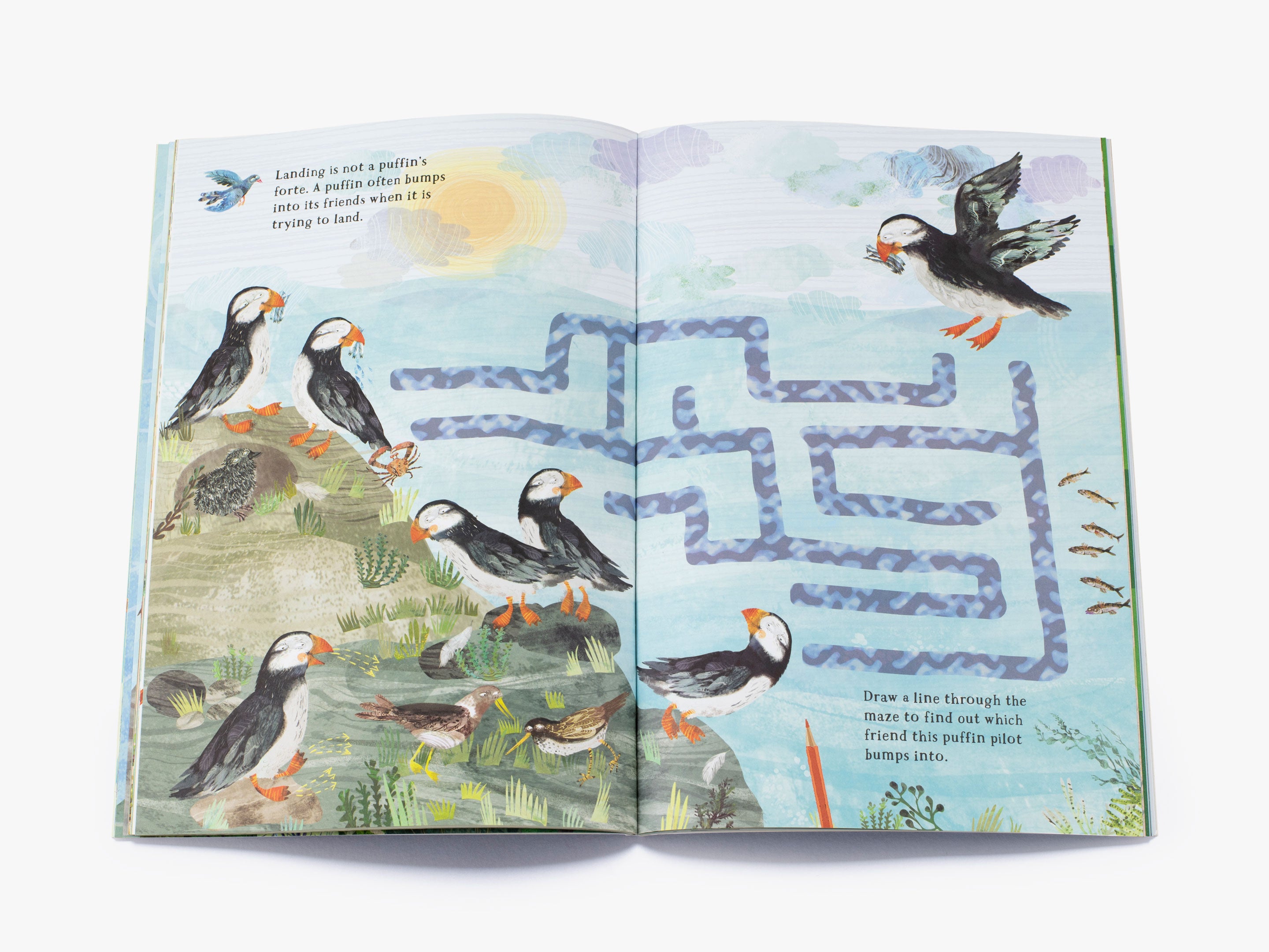のん様★2019年MyBigBookOfWordsStickers Book Big Sticker Book of Birds