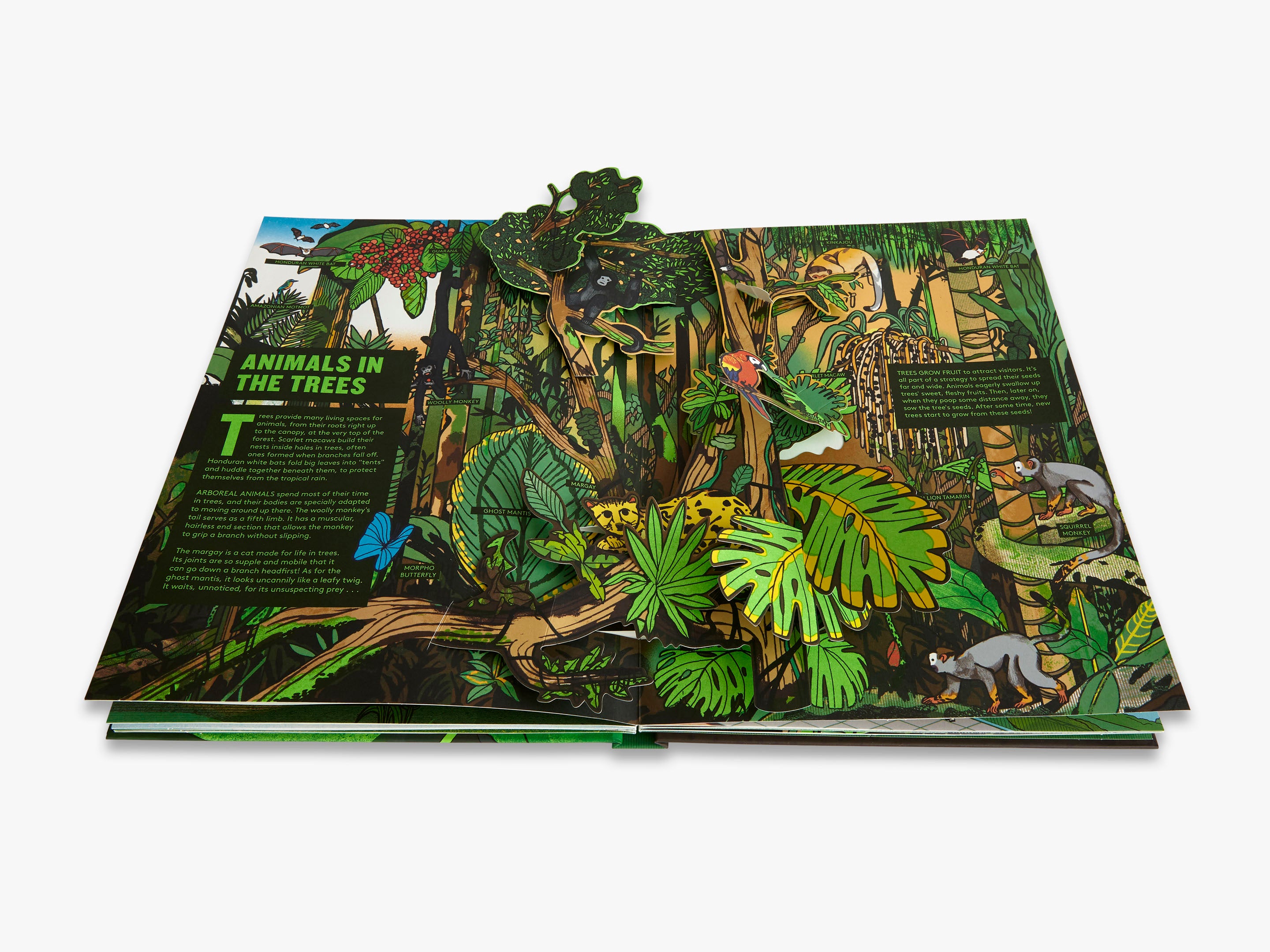 Faces in the forest 森の仲間たち : postcard b… Faces in the forest 森の仲間たち : postcard b… The Forest