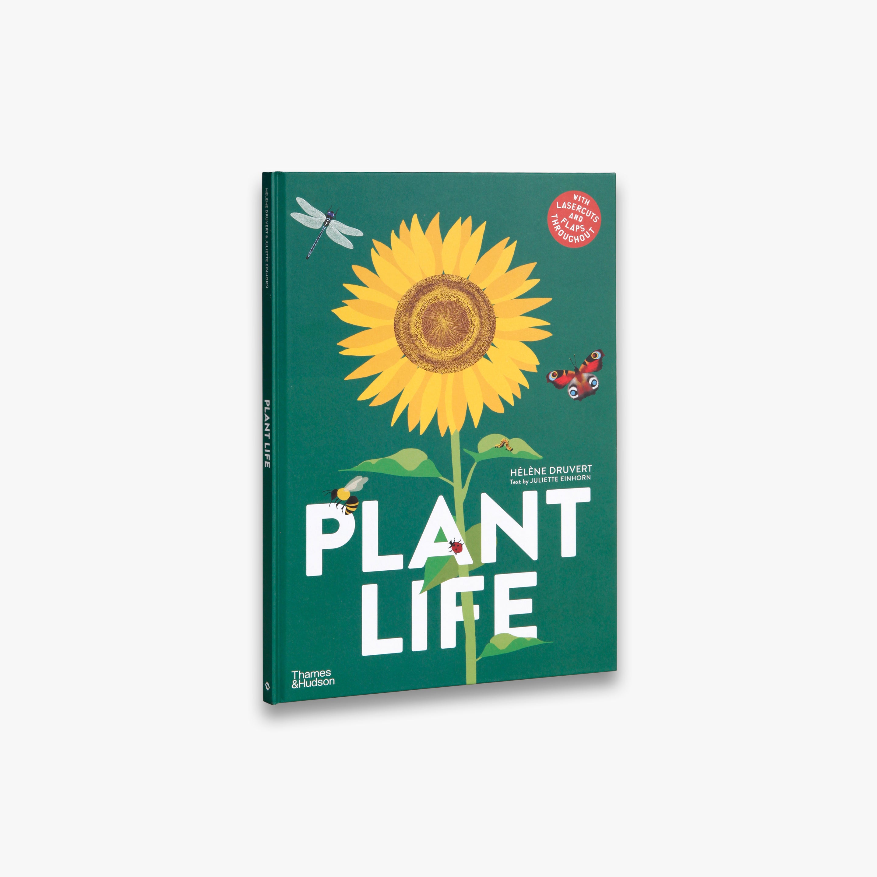 9780500653272_plant-