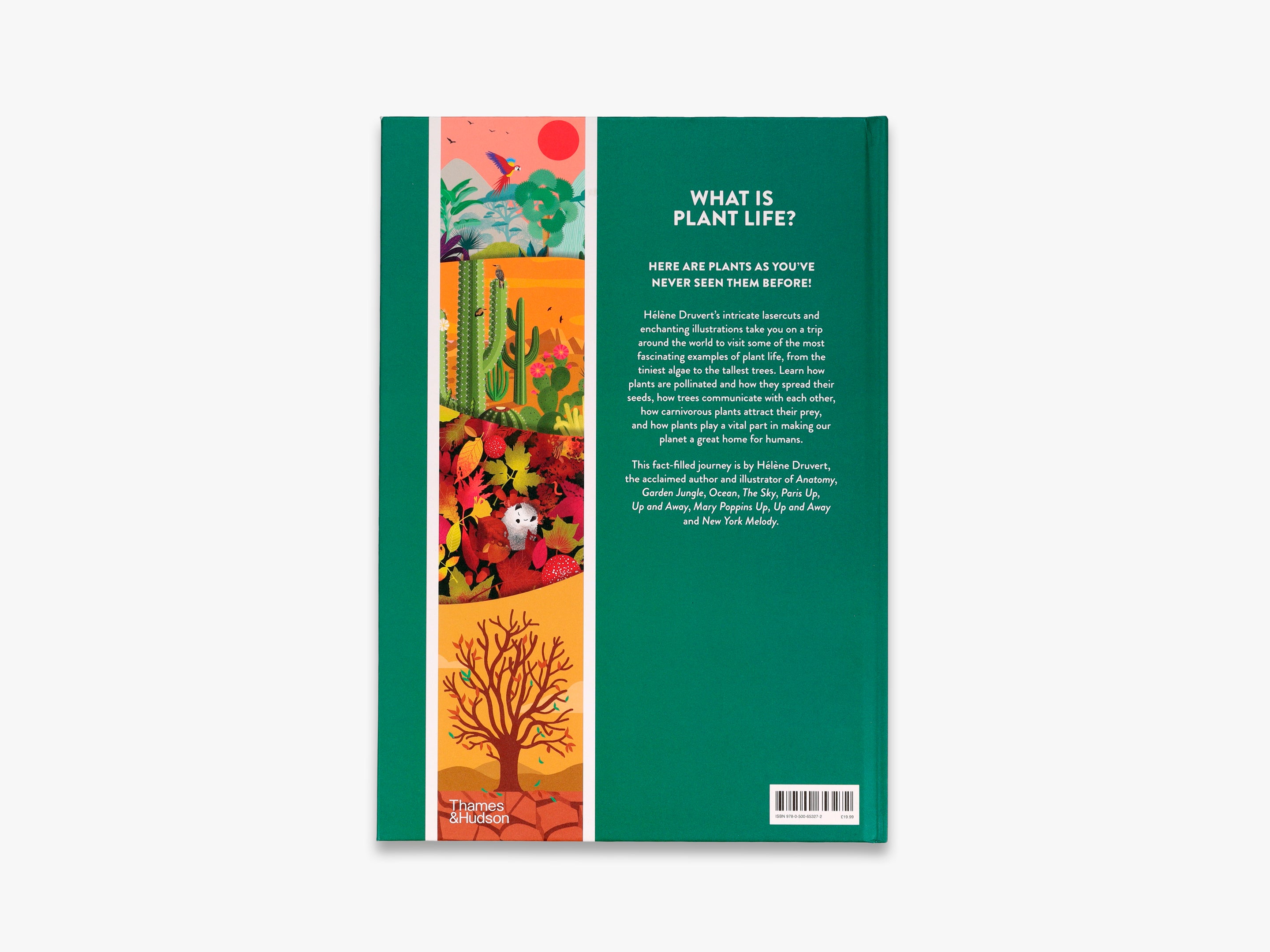 Plant Life