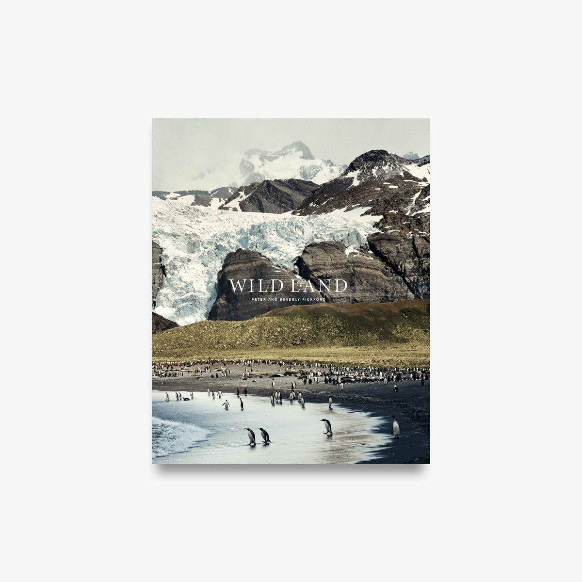 Wild Land